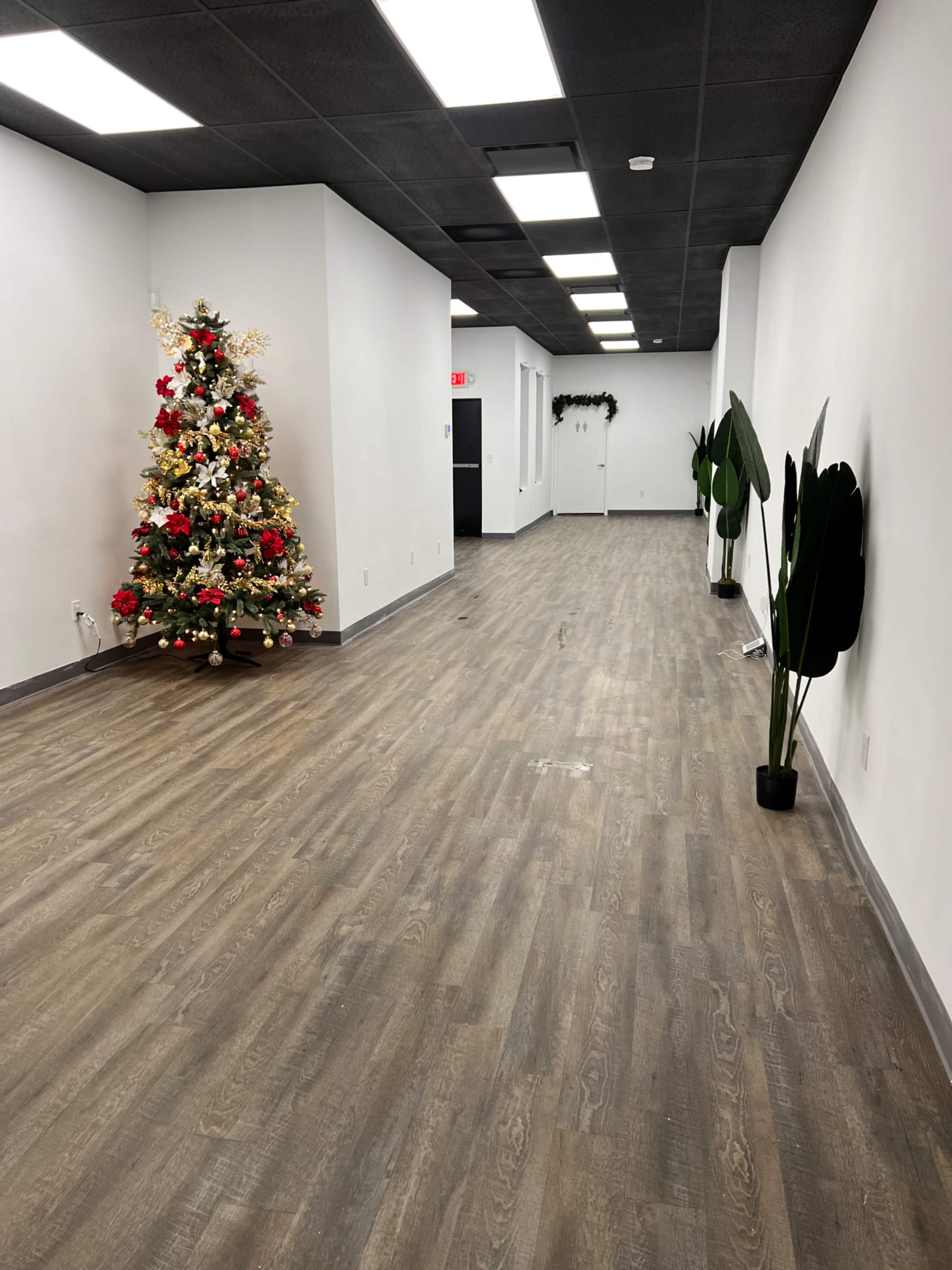 A modern hallway with wood-look flooring, a decorated Christmas tree on the left, and potted plants along the walls.