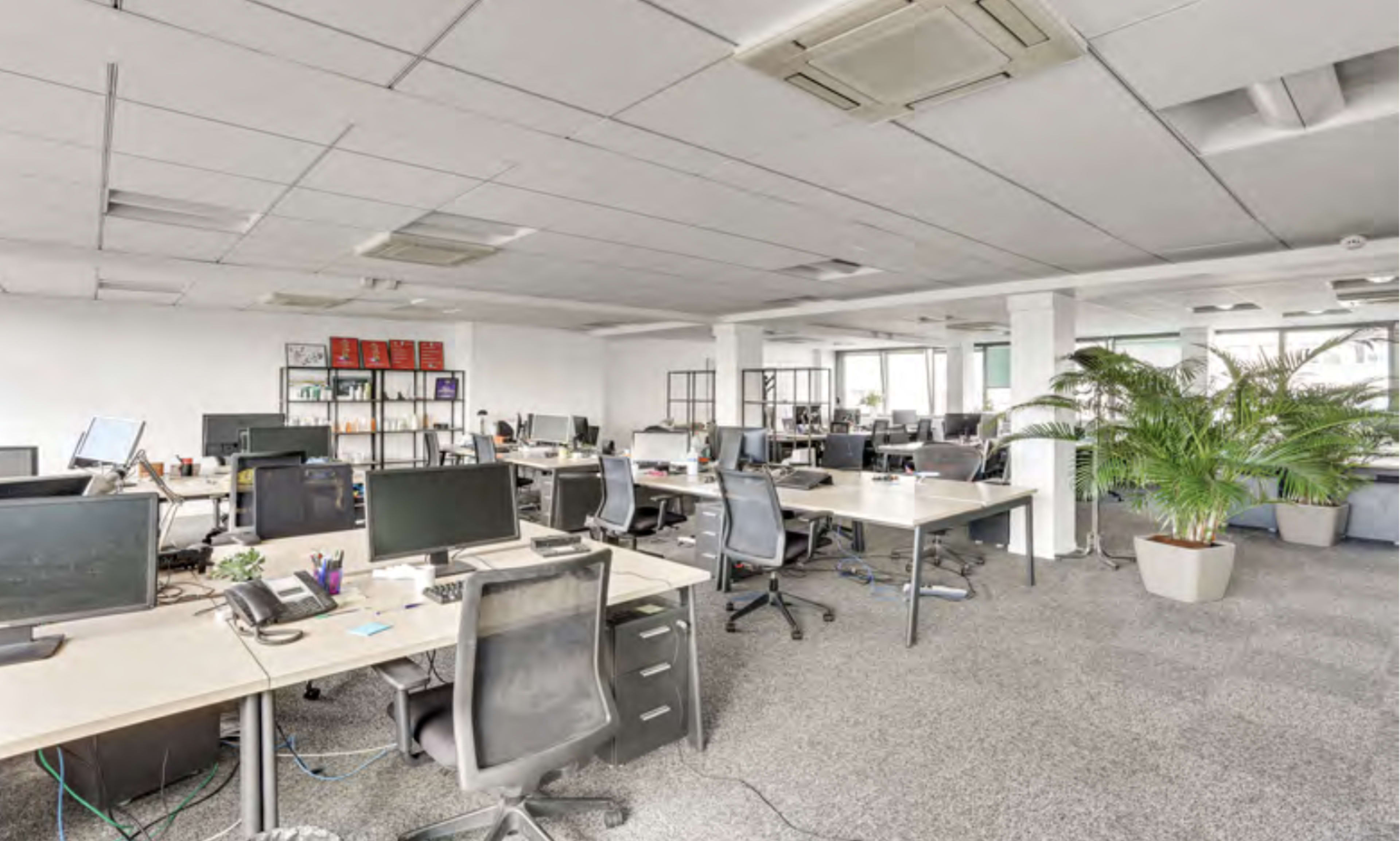 An open office space features multiple desks with computers, chairs, and decorative plants, with bright lighting and a minimalist design.