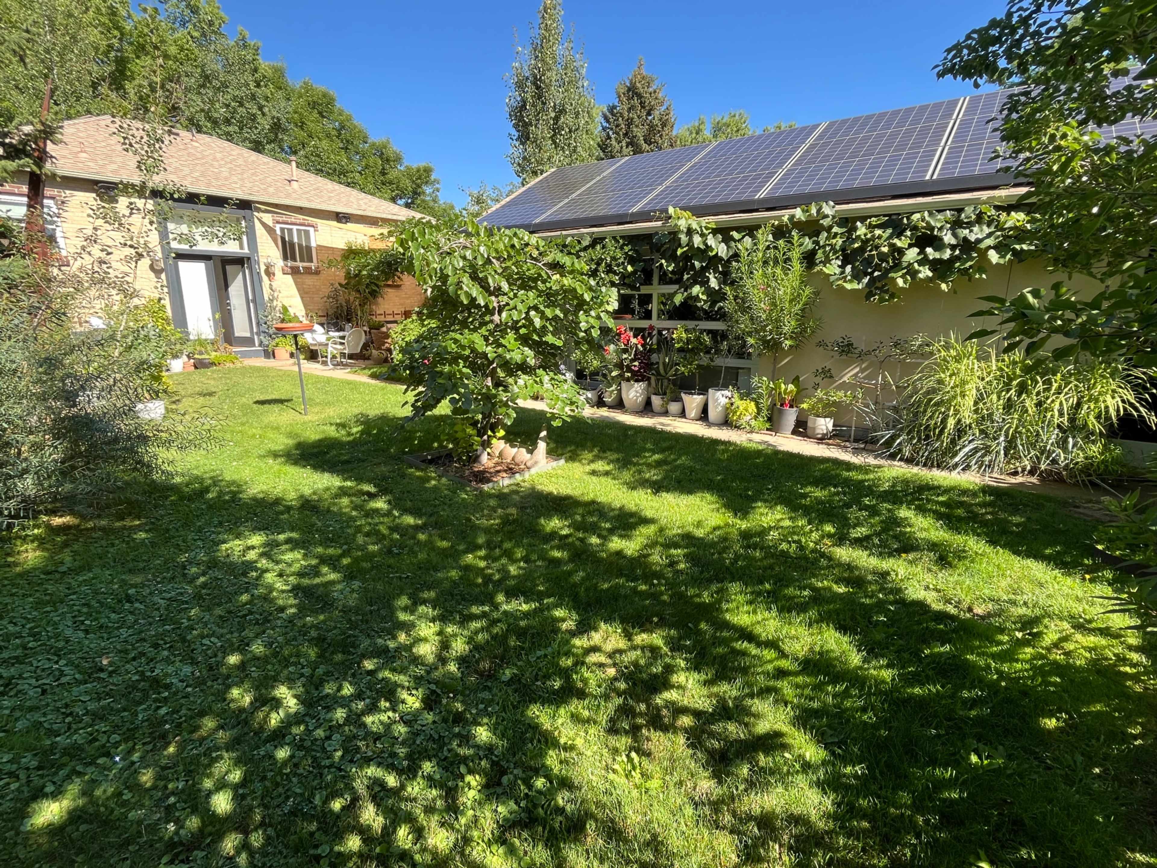 The image shows a green backyard featuring a solar-paneled roof, various plants in pots, and a well-maintained lawn.