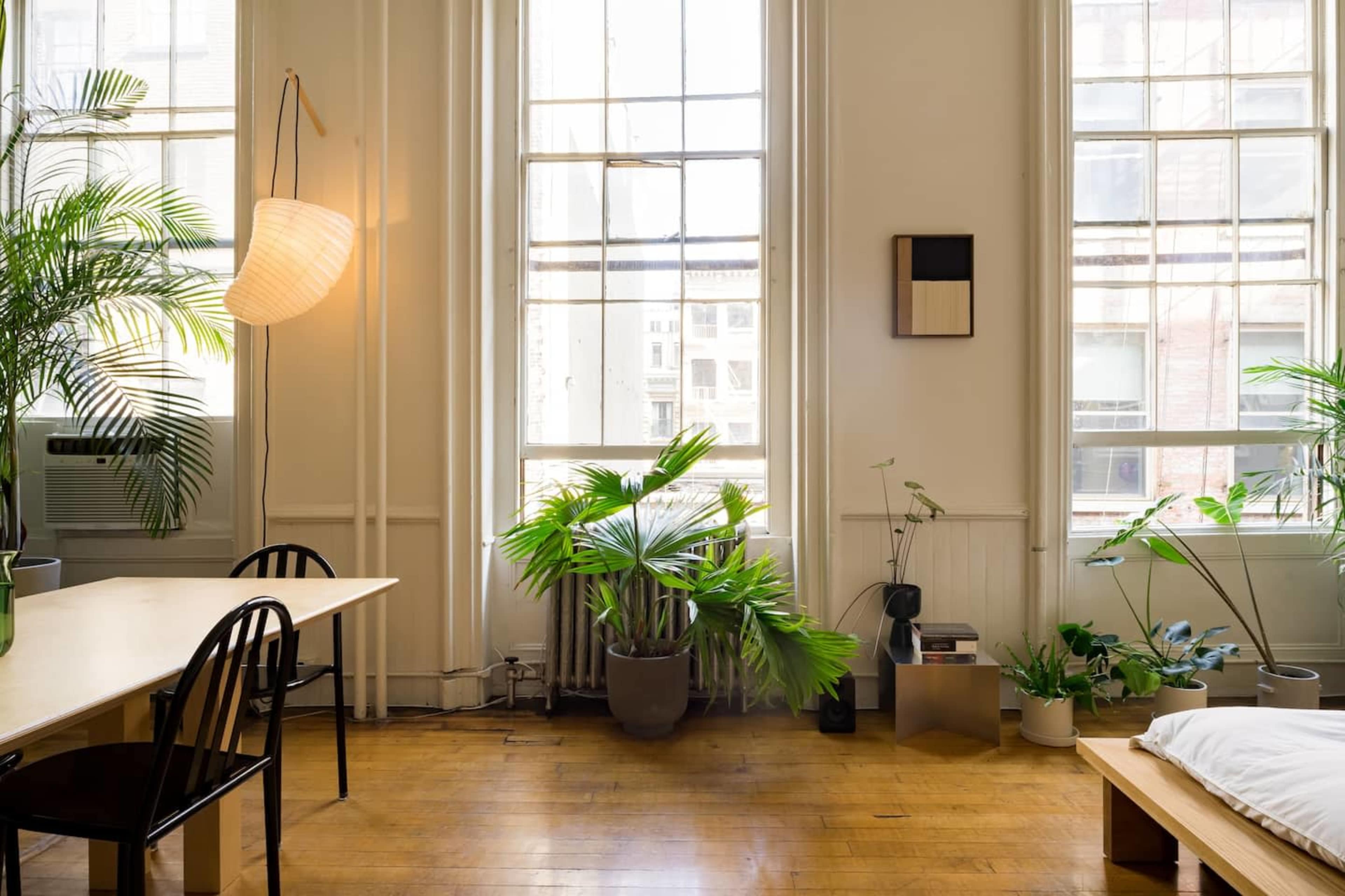 The image shows a bright room with large windows, featuring a wooden table, various potted plants, and minimalist decor.