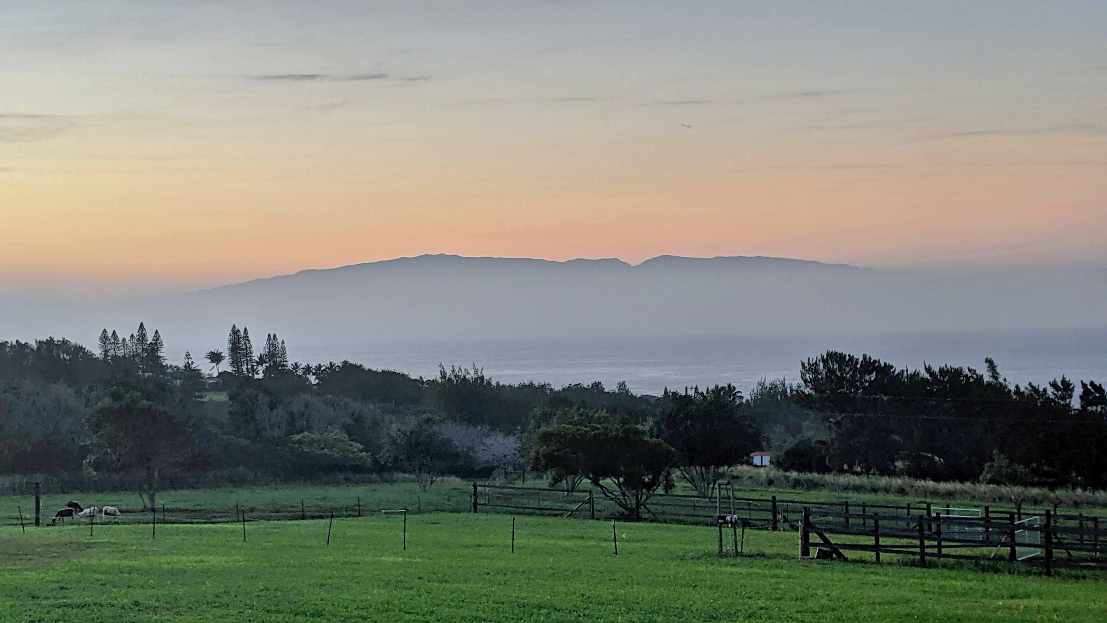 A muted sunset casts a gradient over a distant mountainous island, viewed from a grassy field with scattered trees and a fence in the foreground.