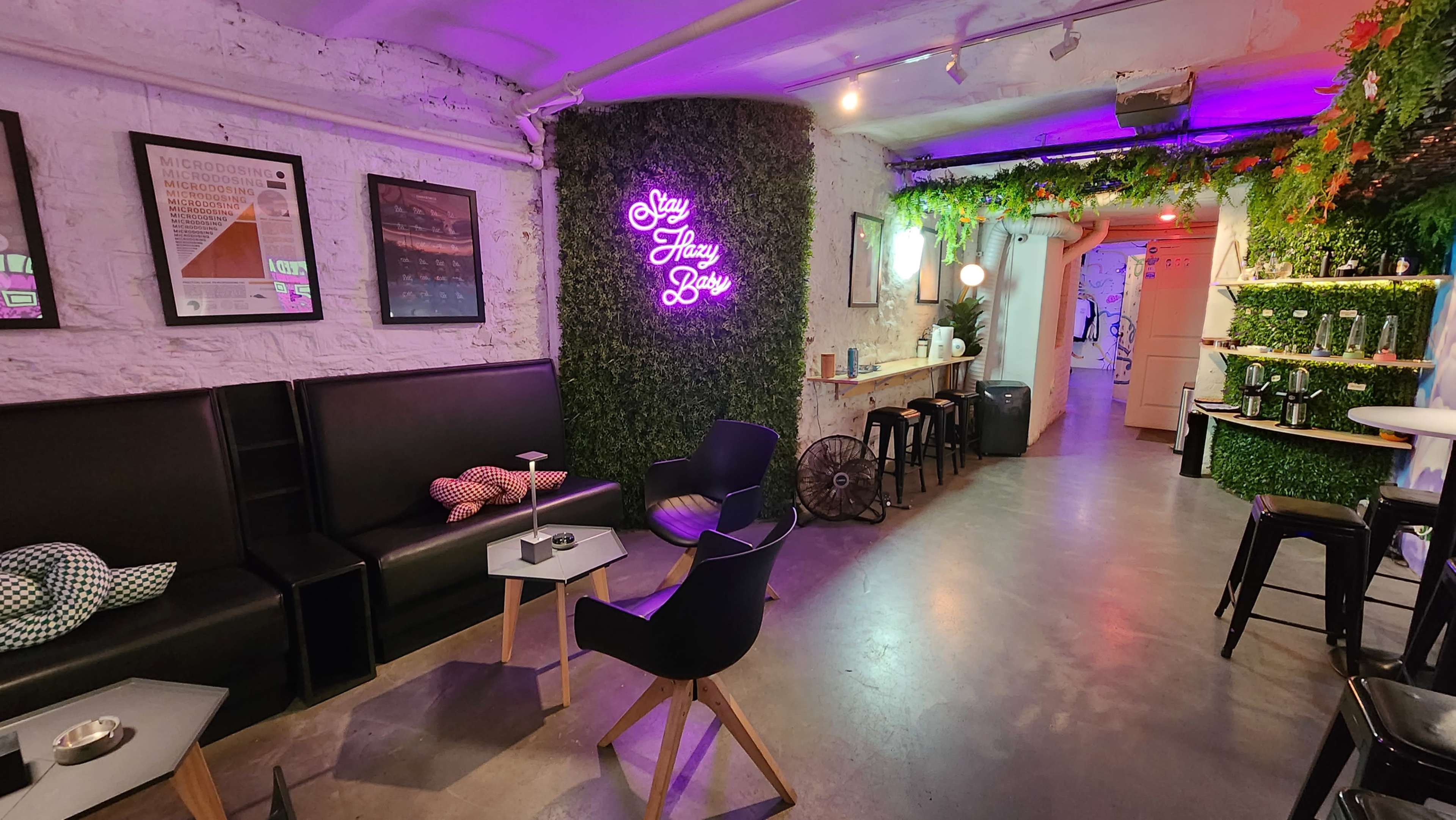 The scene shows a modern indoor lounge area featuring black seating, greenery on the walls, and a neon sign that reads "Stay Thirsty Baby."
