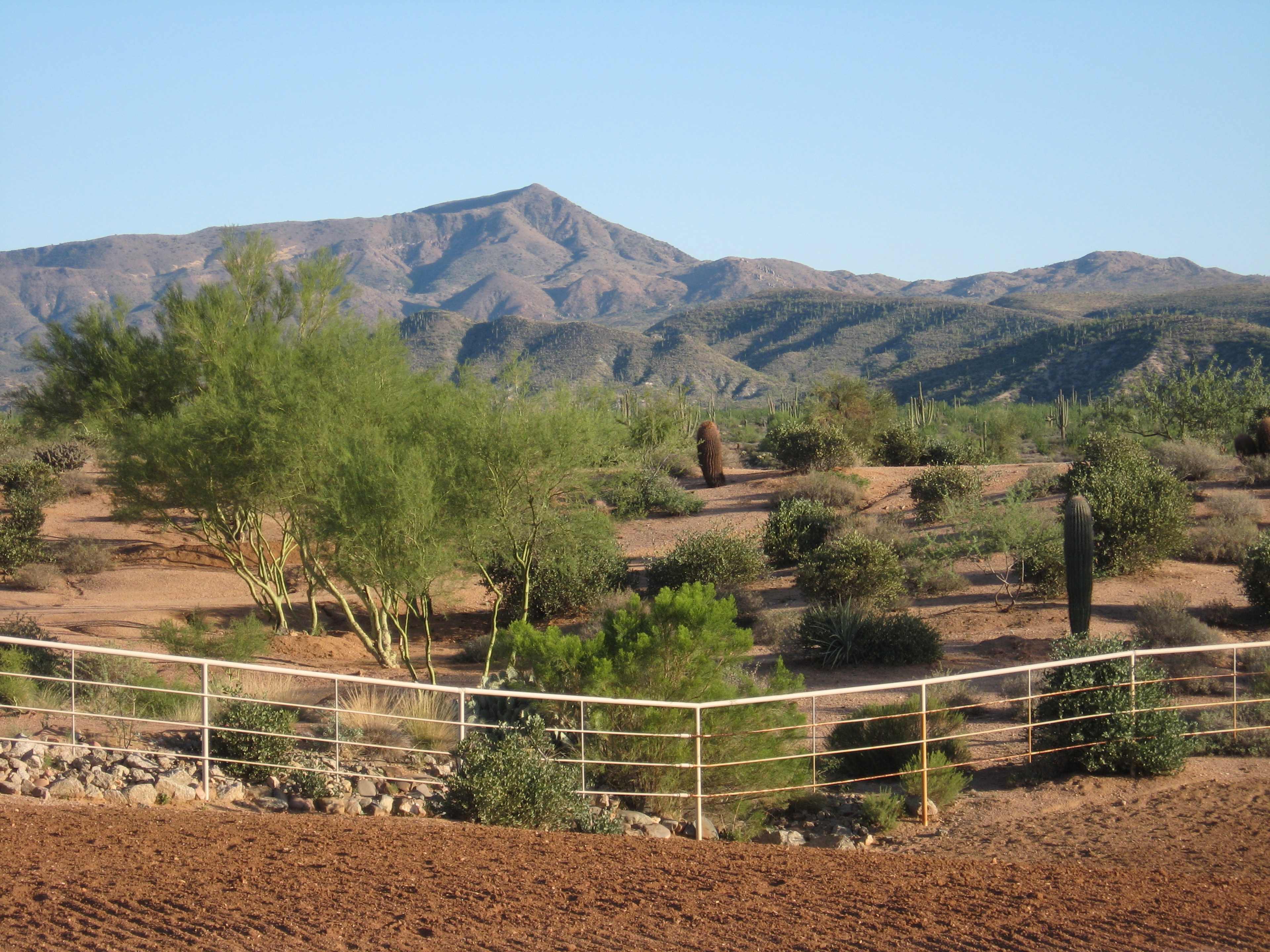 A desert landscape with sparse vegetation, including cacti, and a mountain range in the background.