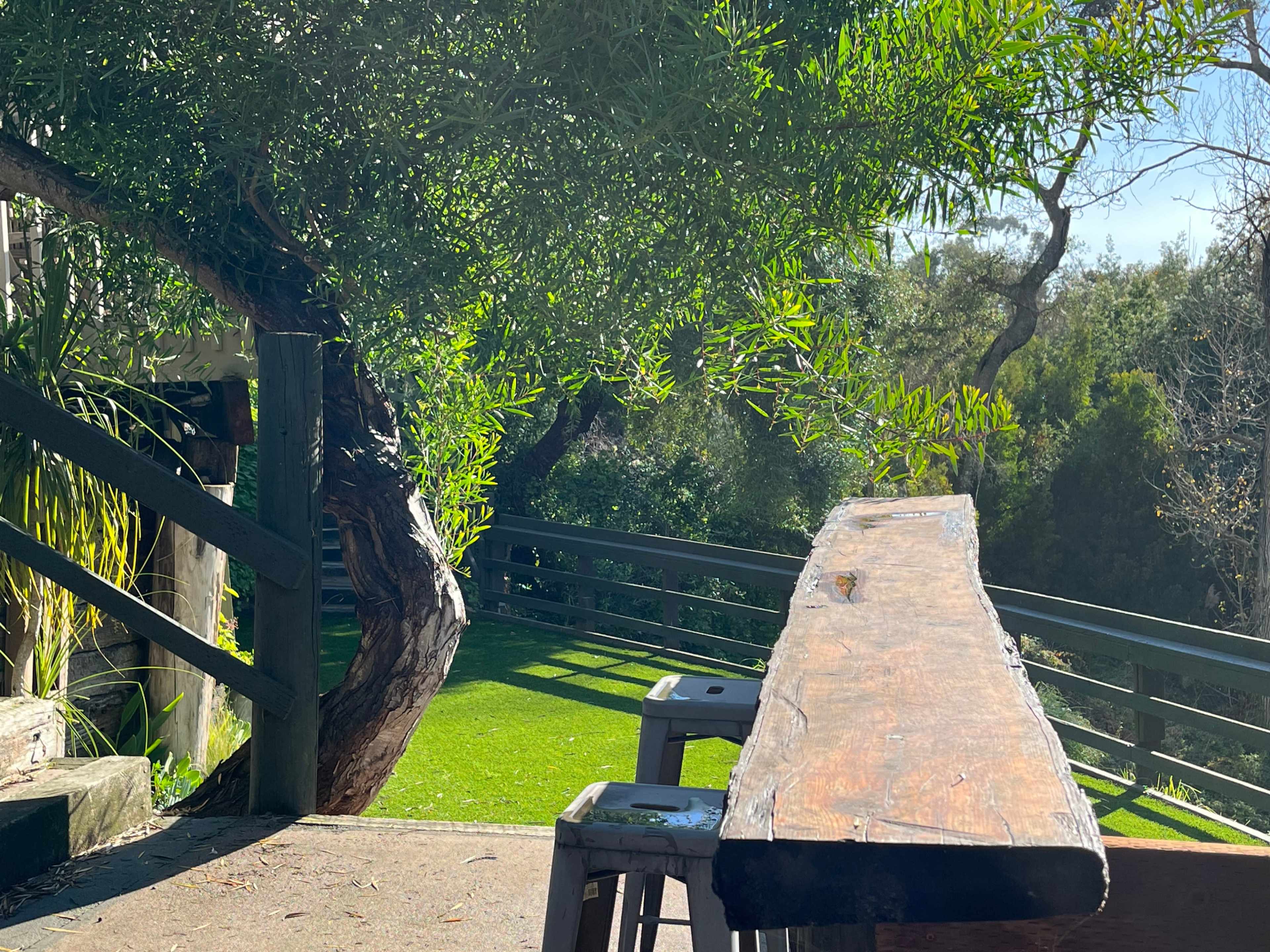 A wooden bench overlooks a landscaped area with greenery and trees.