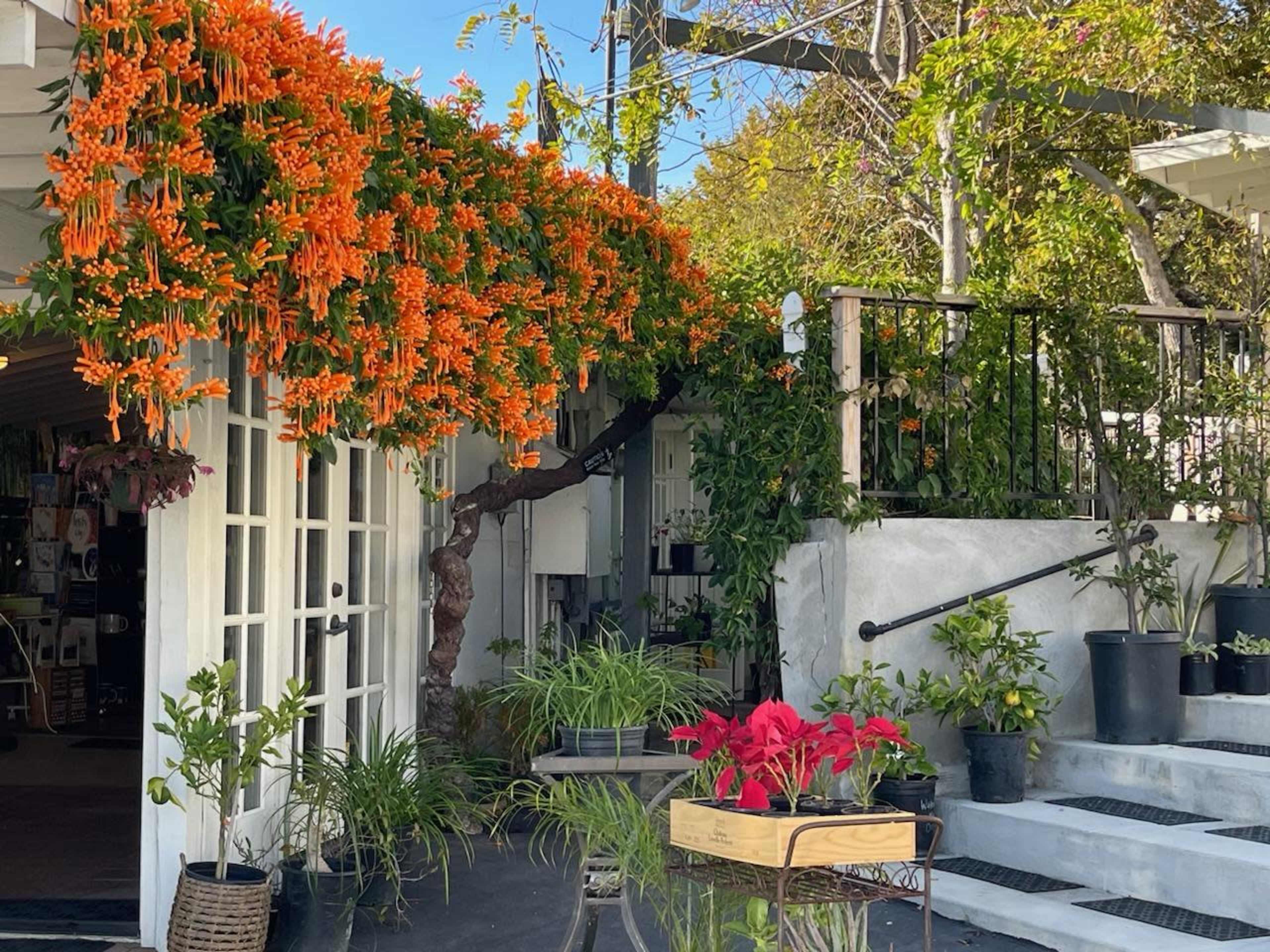 Outdoor Event Space for Baby Showers, Bridal Showers, Anniversary Celebrations, and More Image in Eastern Malibu, Malibu, CA