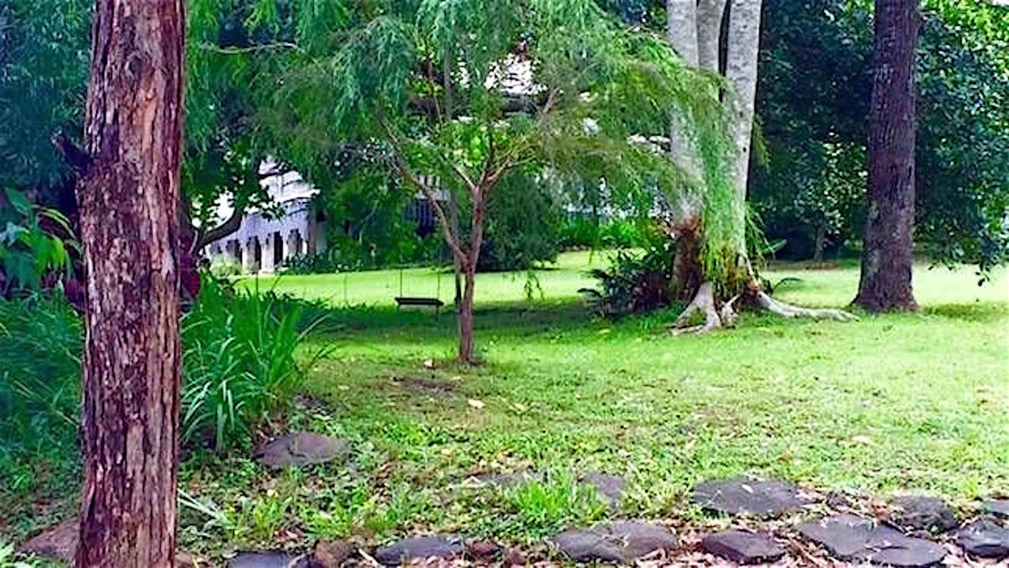 The image shows a grassy area with a swing hanging from a tree, surrounded by taller trees and a building in the background.