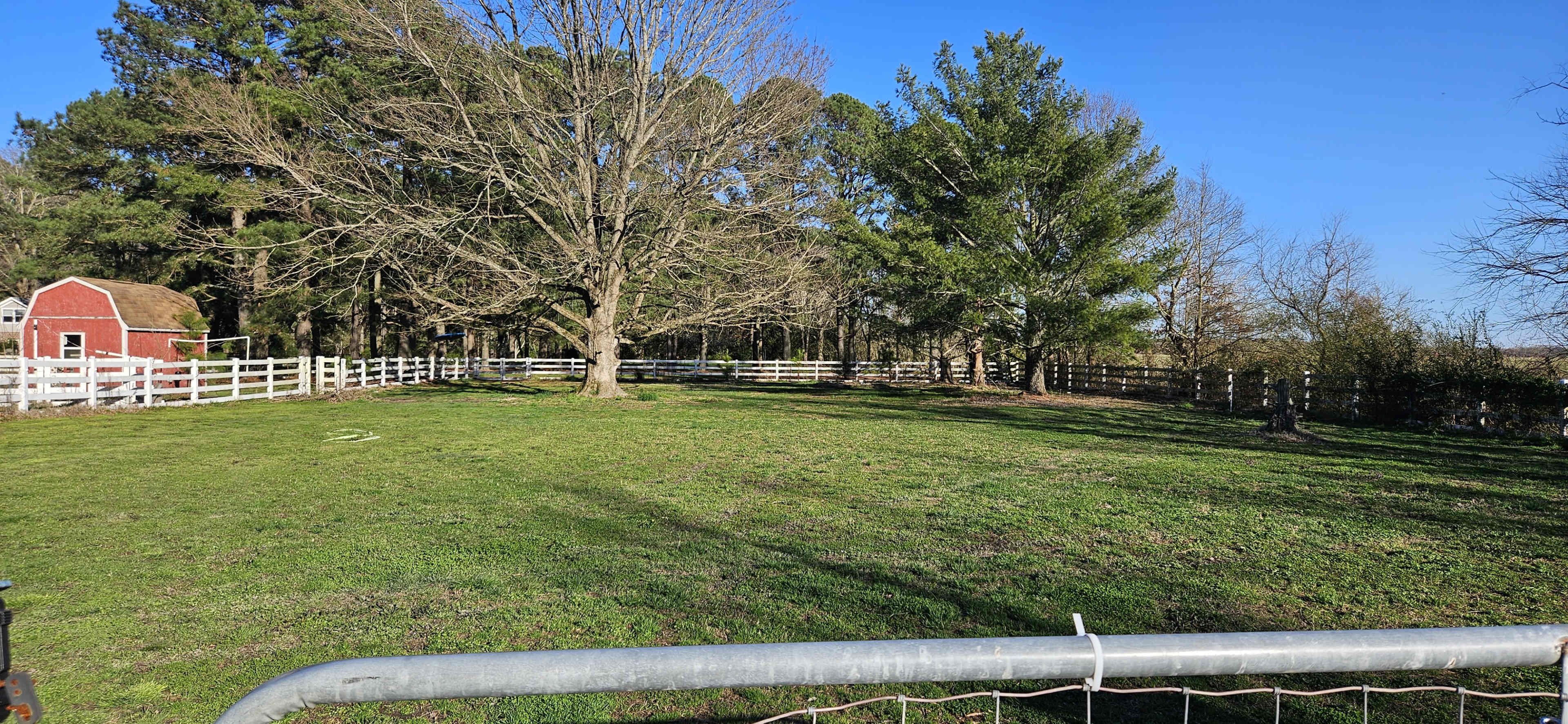 A grassy field bordered by trees and a white fence, with a red barn in the background.