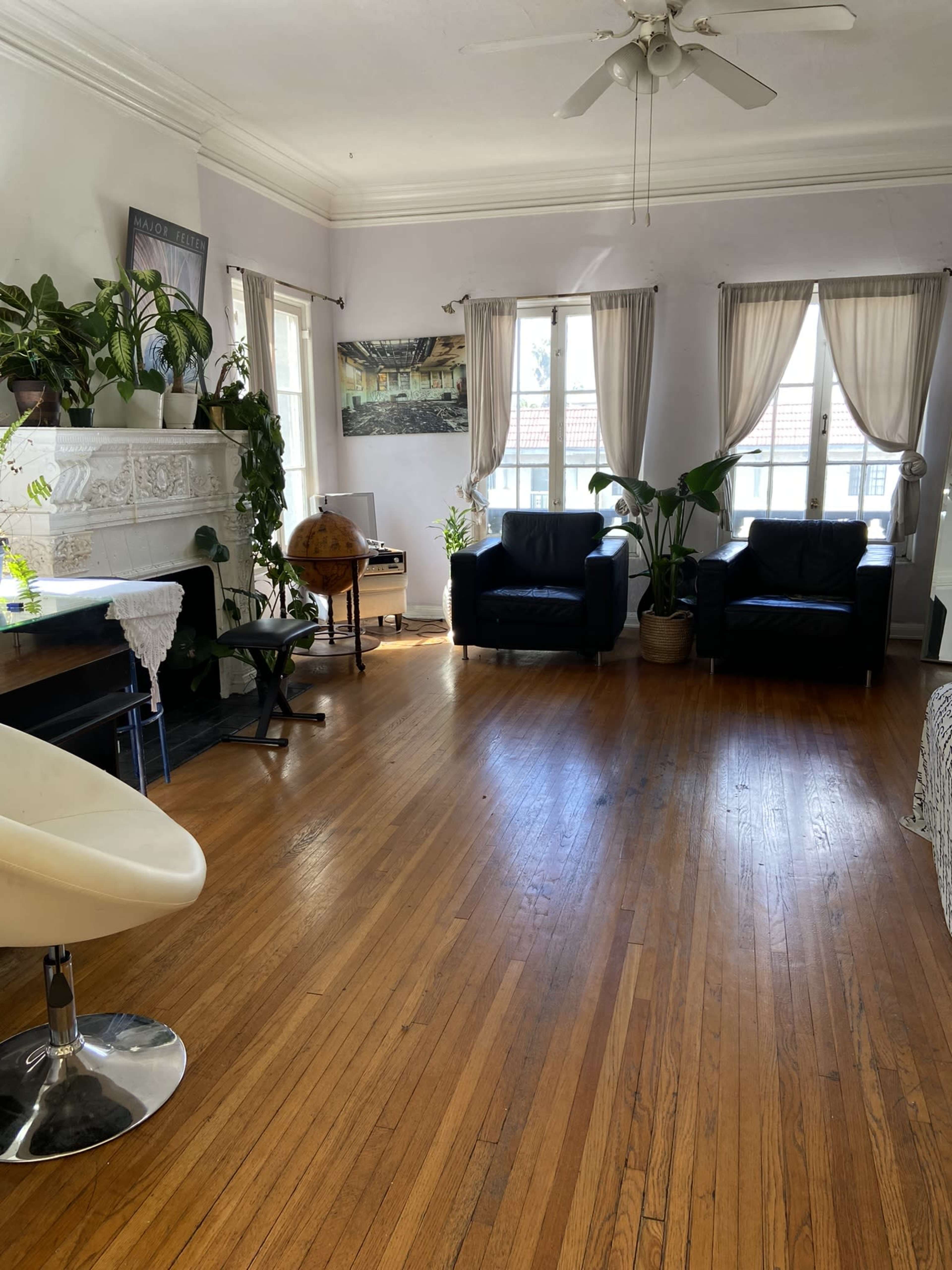 The room features wooden flooring, two black leather chairs, a globe, large windows with curtains, and various indoor plants arranged throughout.