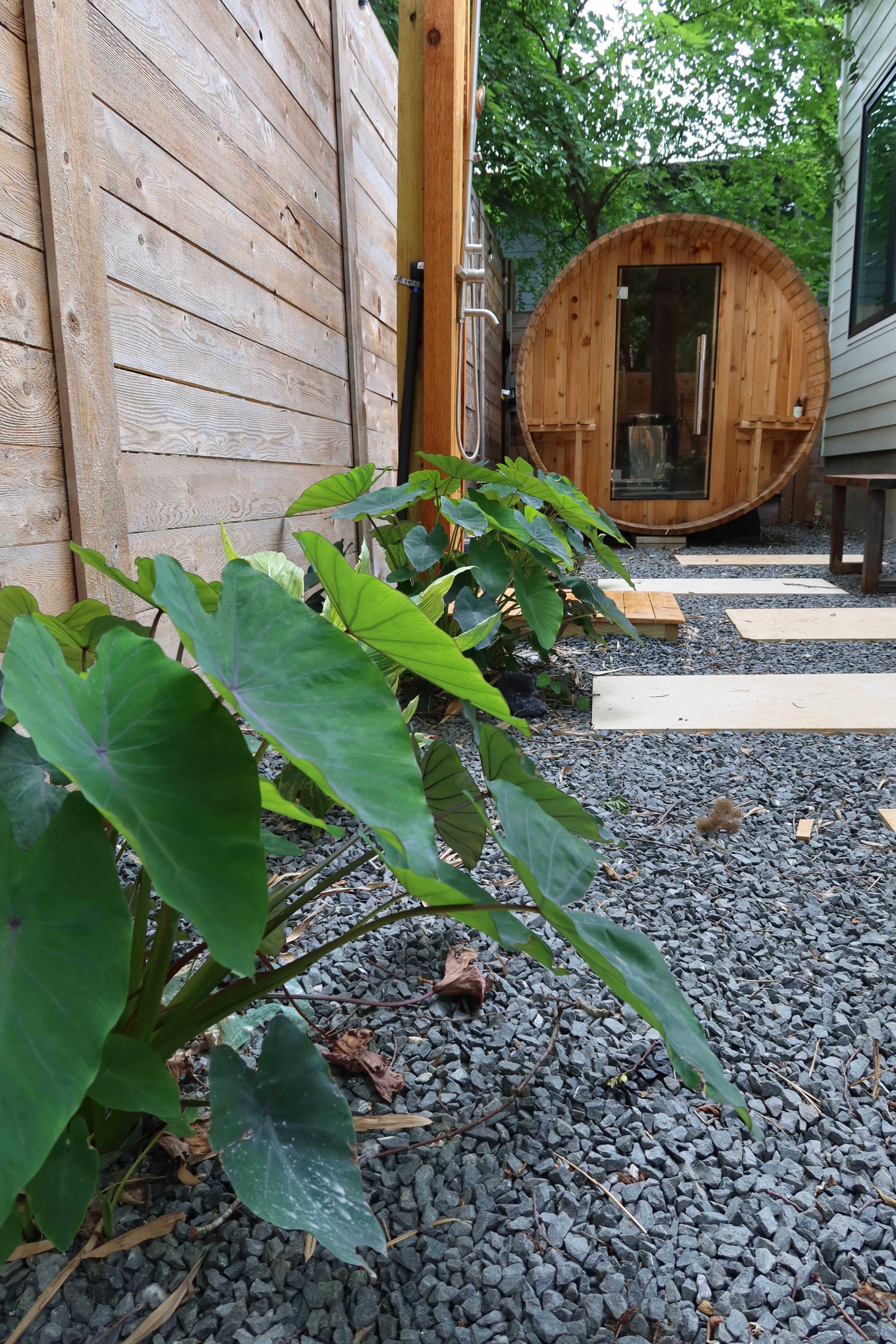 A path of wooden planks runs alongside a row of large green plants, leading to a round wooden structure in a landscaped area enclosed by a fence.