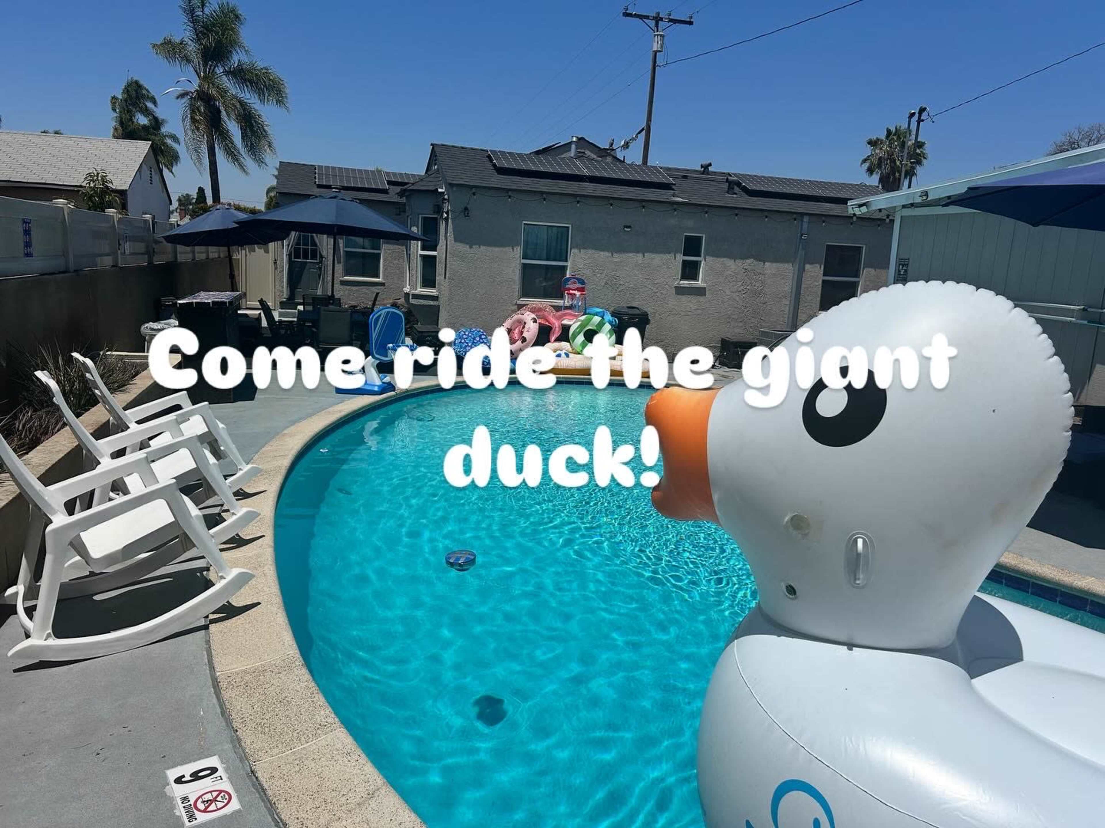 Urban Oasis of Privacy With Free Wifi Image in Mid-City, San Diego, CA