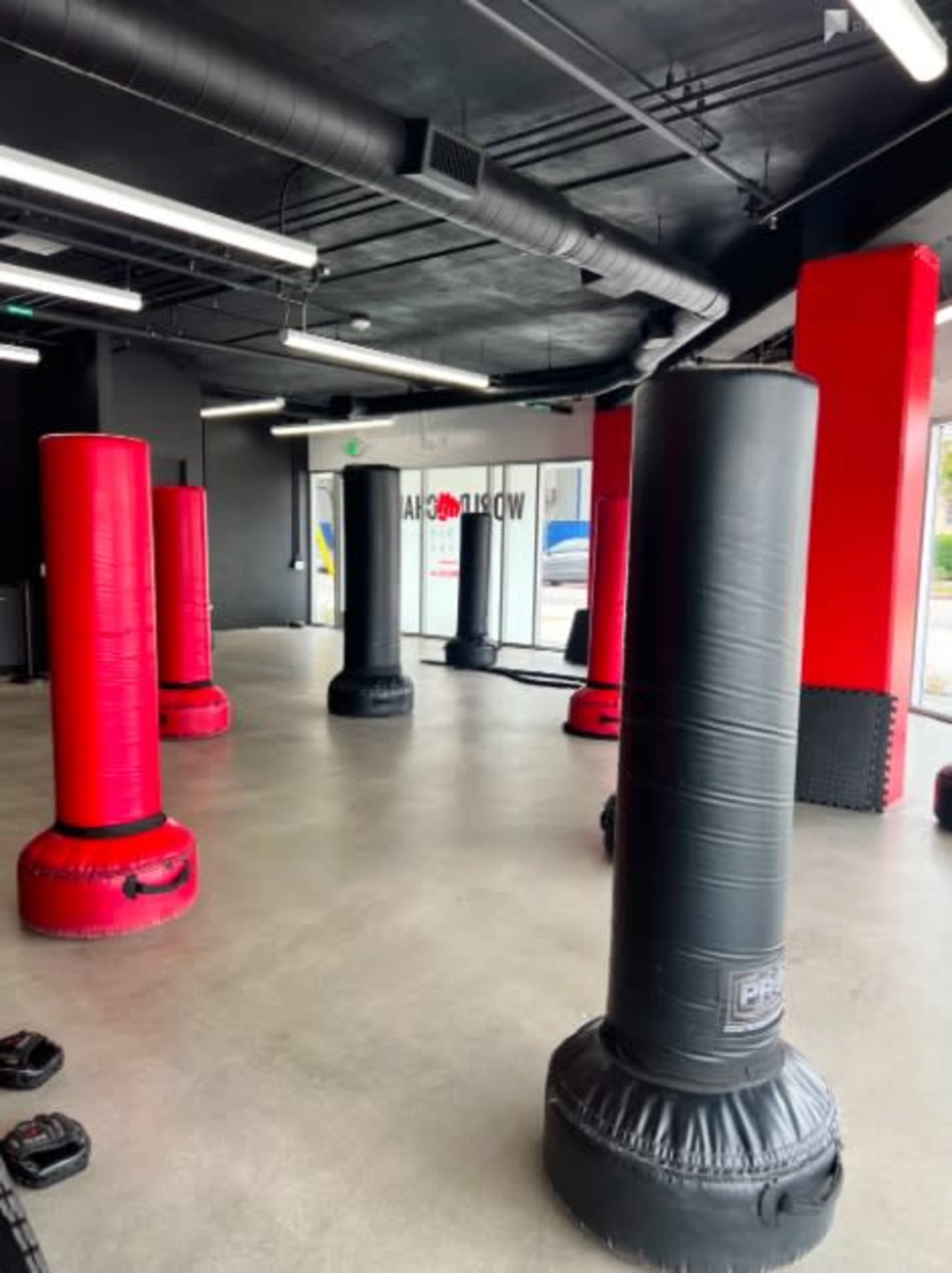 An indoor gym space featuring multiple upright punching bags arranged in a row against a dark floor and walls.