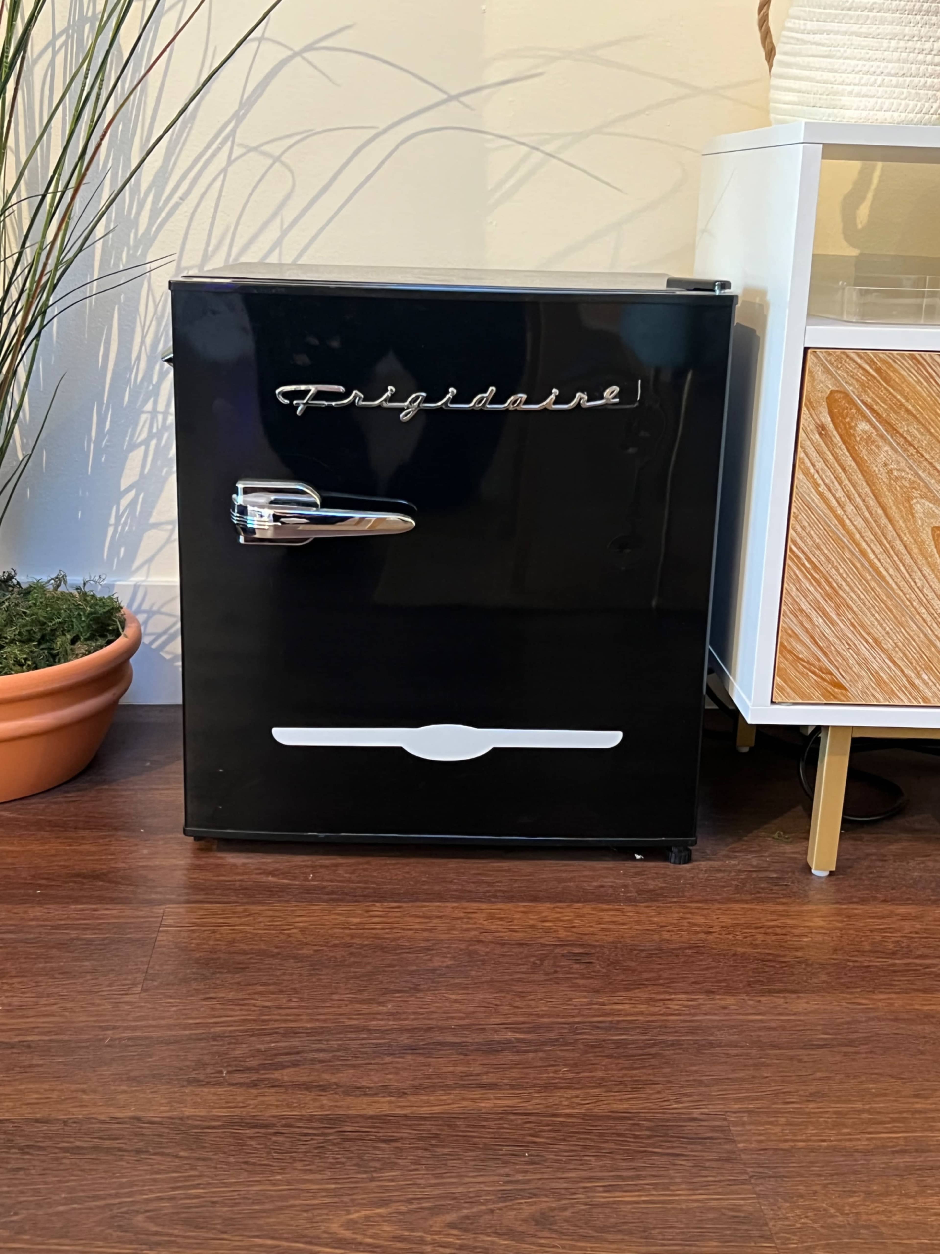 The image shows a black Frigidaire mini fridge placed beside a wooden side table in a room with potted plants.