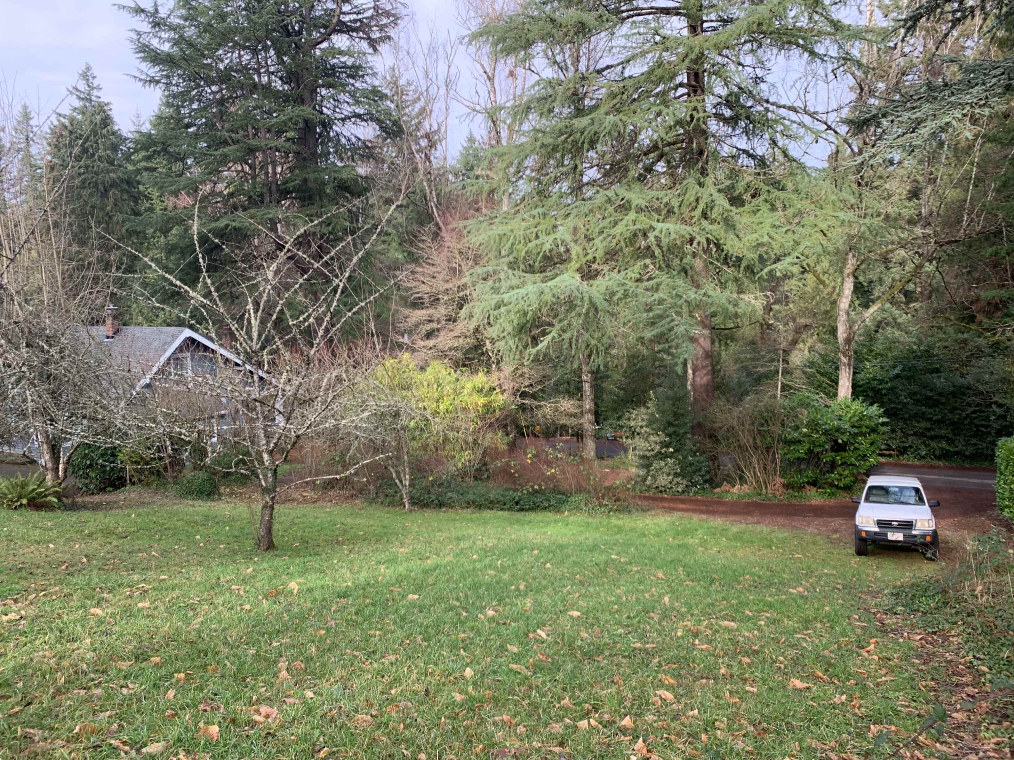 A white car is parked beside a grassy area, with trees and a house visible in the background.