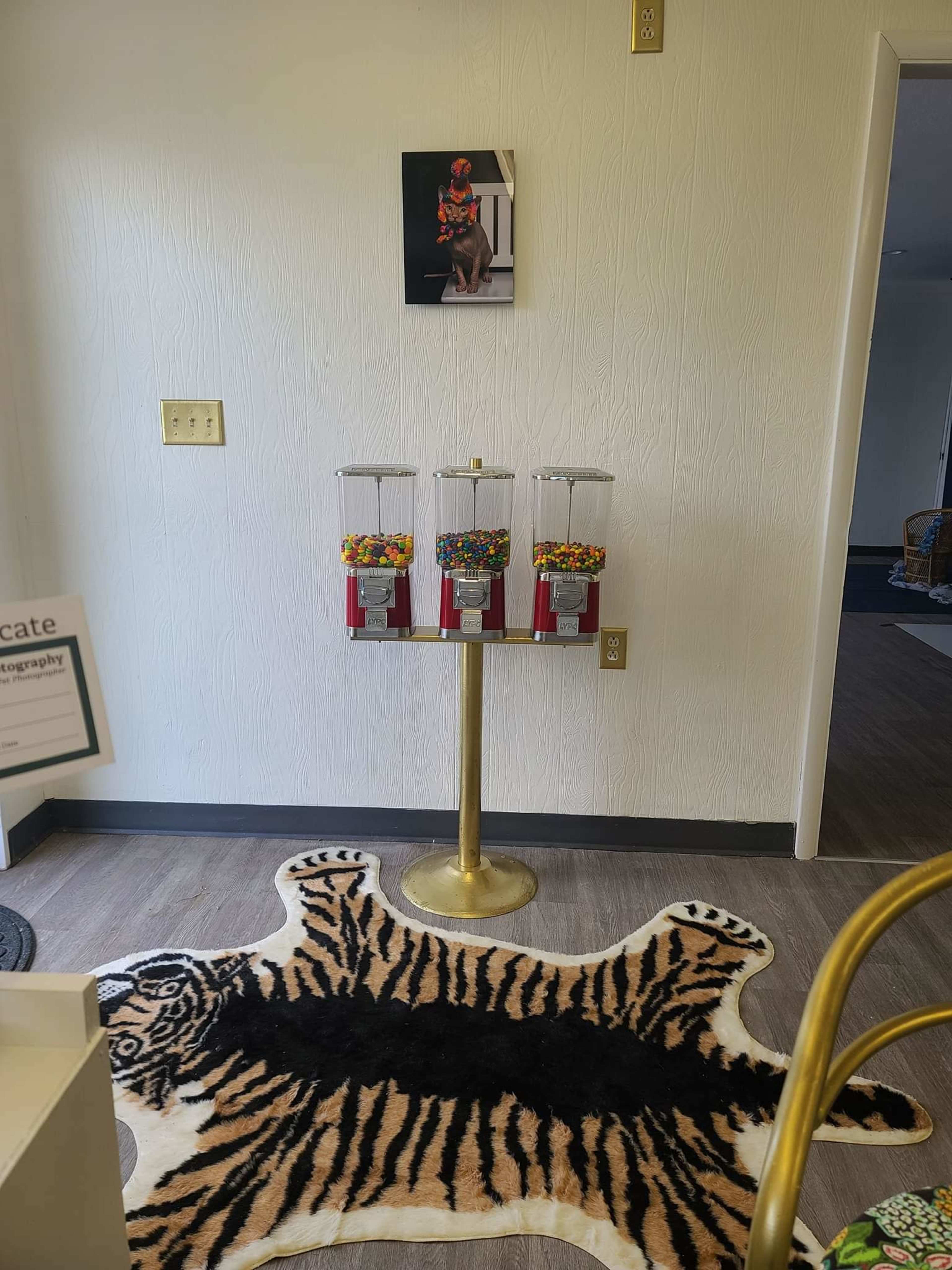 A display of three gumball machines sits on a golden stand atop a tiger-print rug in a room with light-colored walls.