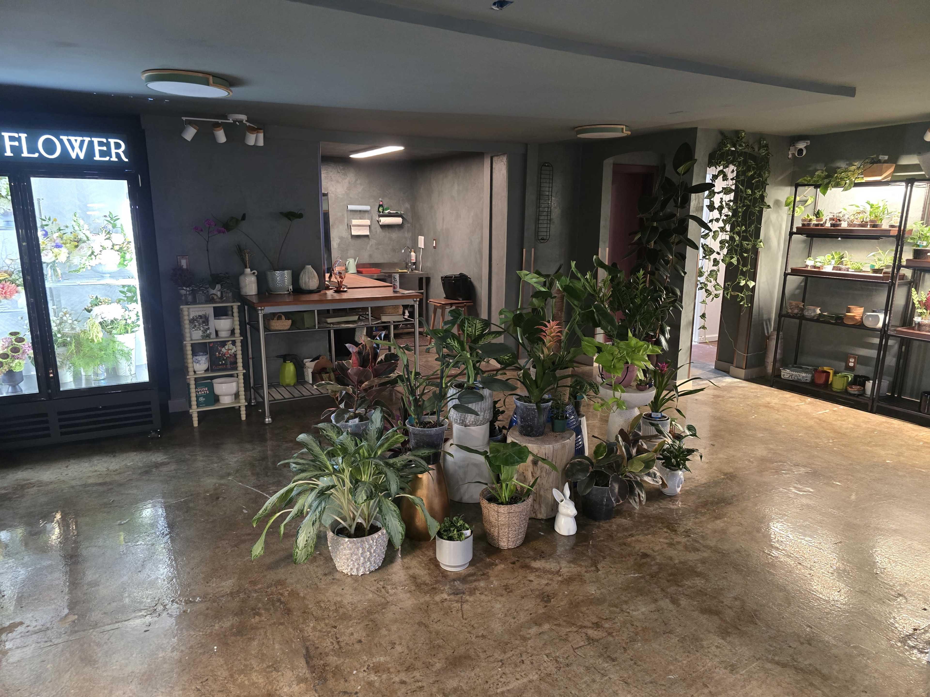 The image shows a spacious room featuring various potted plants arranged on the floor, with shelves displaying more plants in the background and a flower shop sign visible.