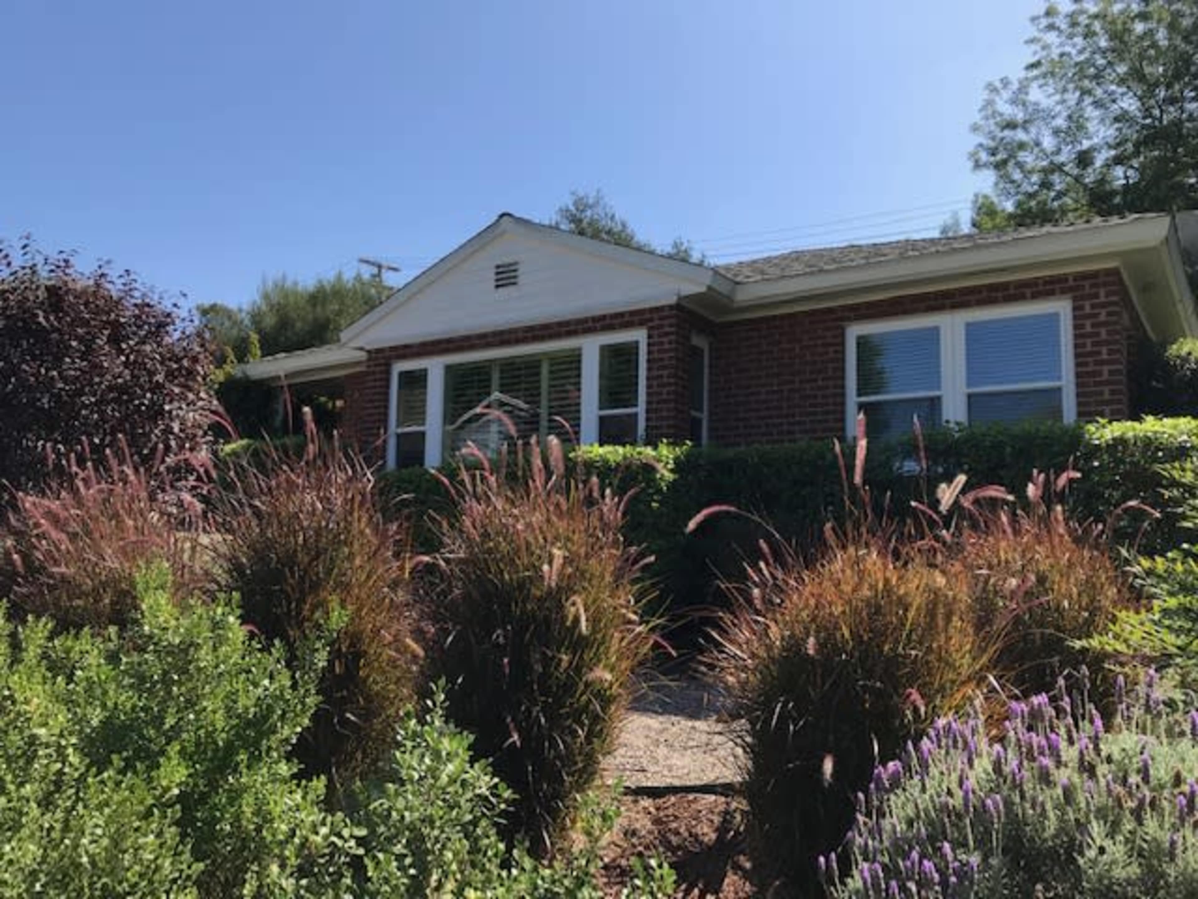 A brick house with multiple windows is surrounded by flowering shrubs and ornamental grasses in the front yard.
