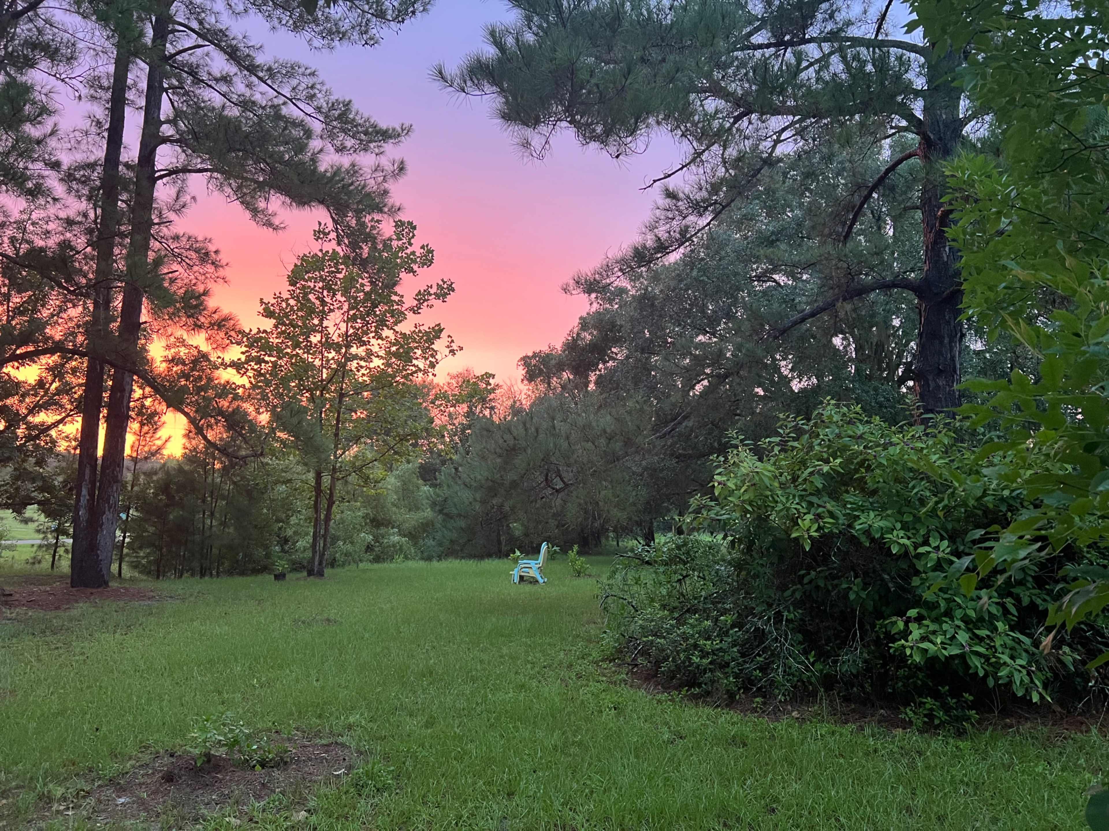 A green lawn is bordered by tall trees under a colorful sunset sky.