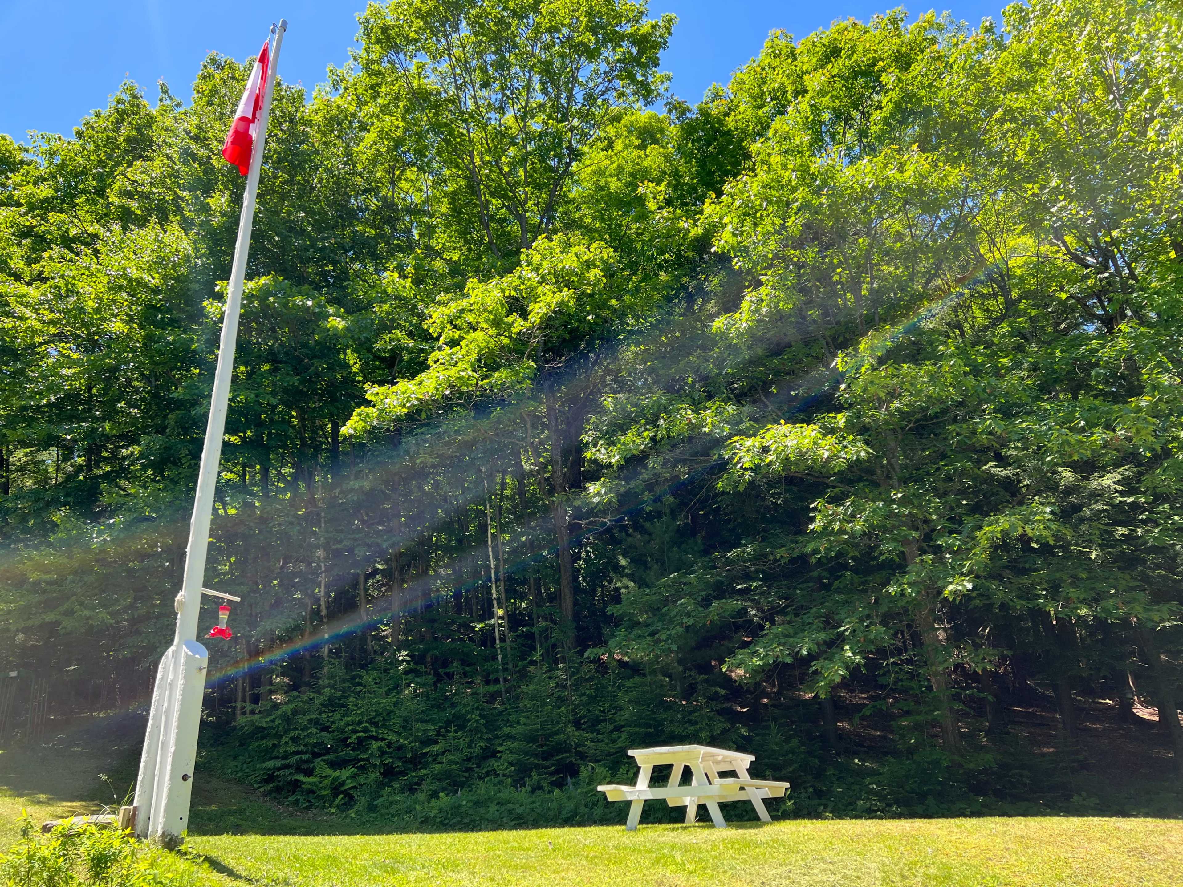 A Canadian flag flutters beside a white picnic table in a green forested area.