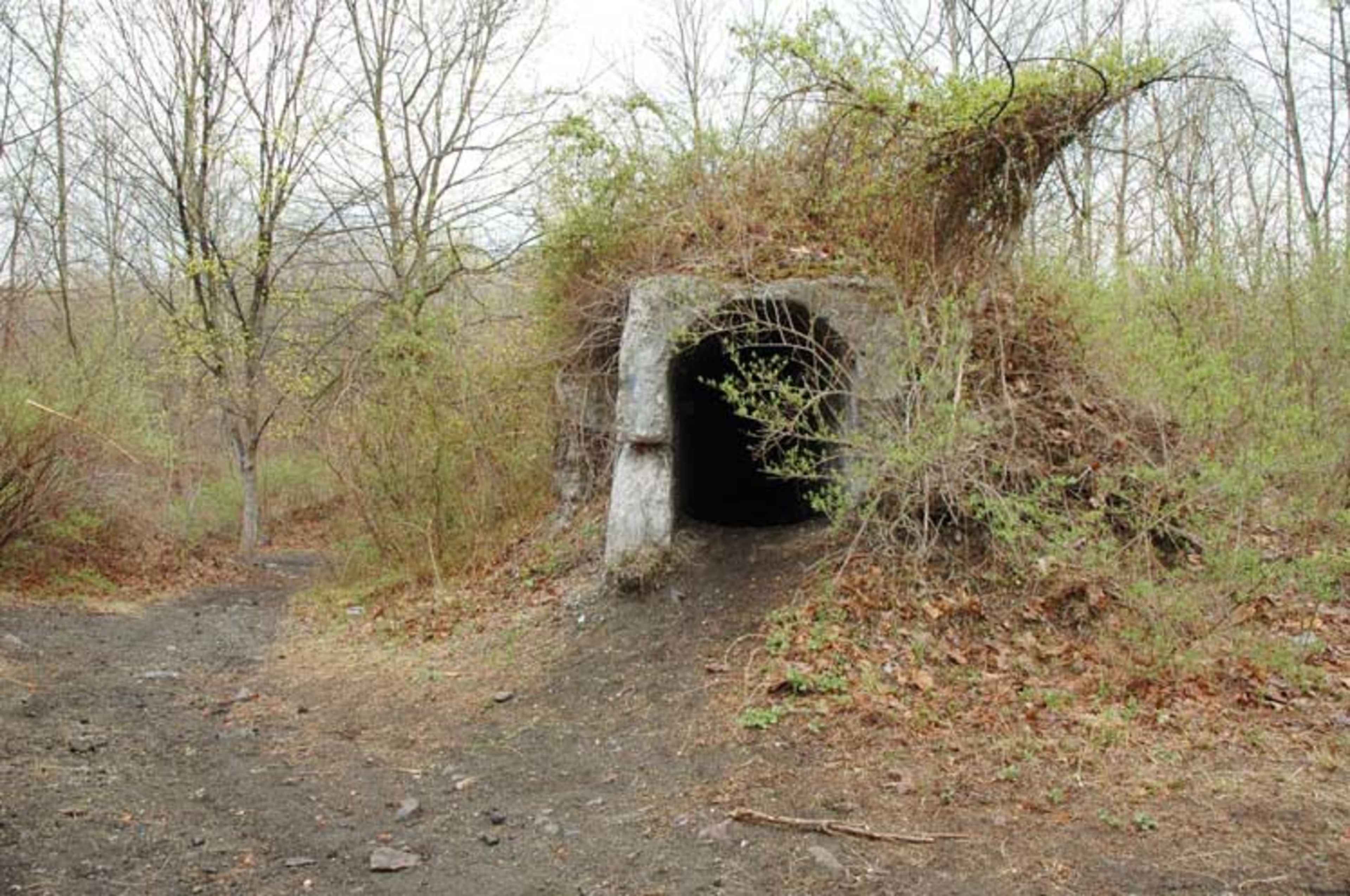 A moss-covered opening of a tunnel is surrounded by overgrown vegetation in a wooded area.