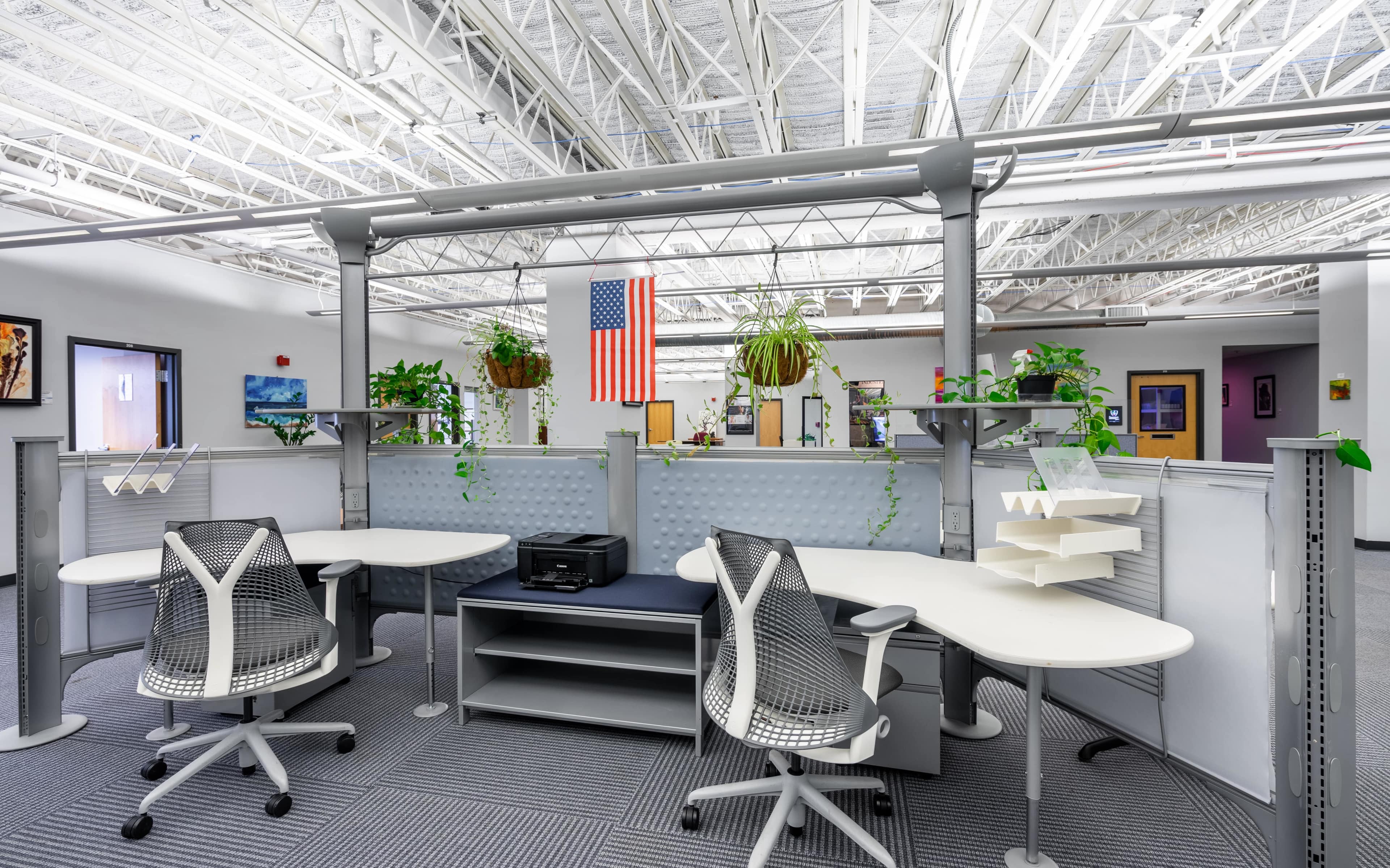 A modern office workspace featuring two ergonomic chairs and desks, greenery, and an American flag displayed on the wall.