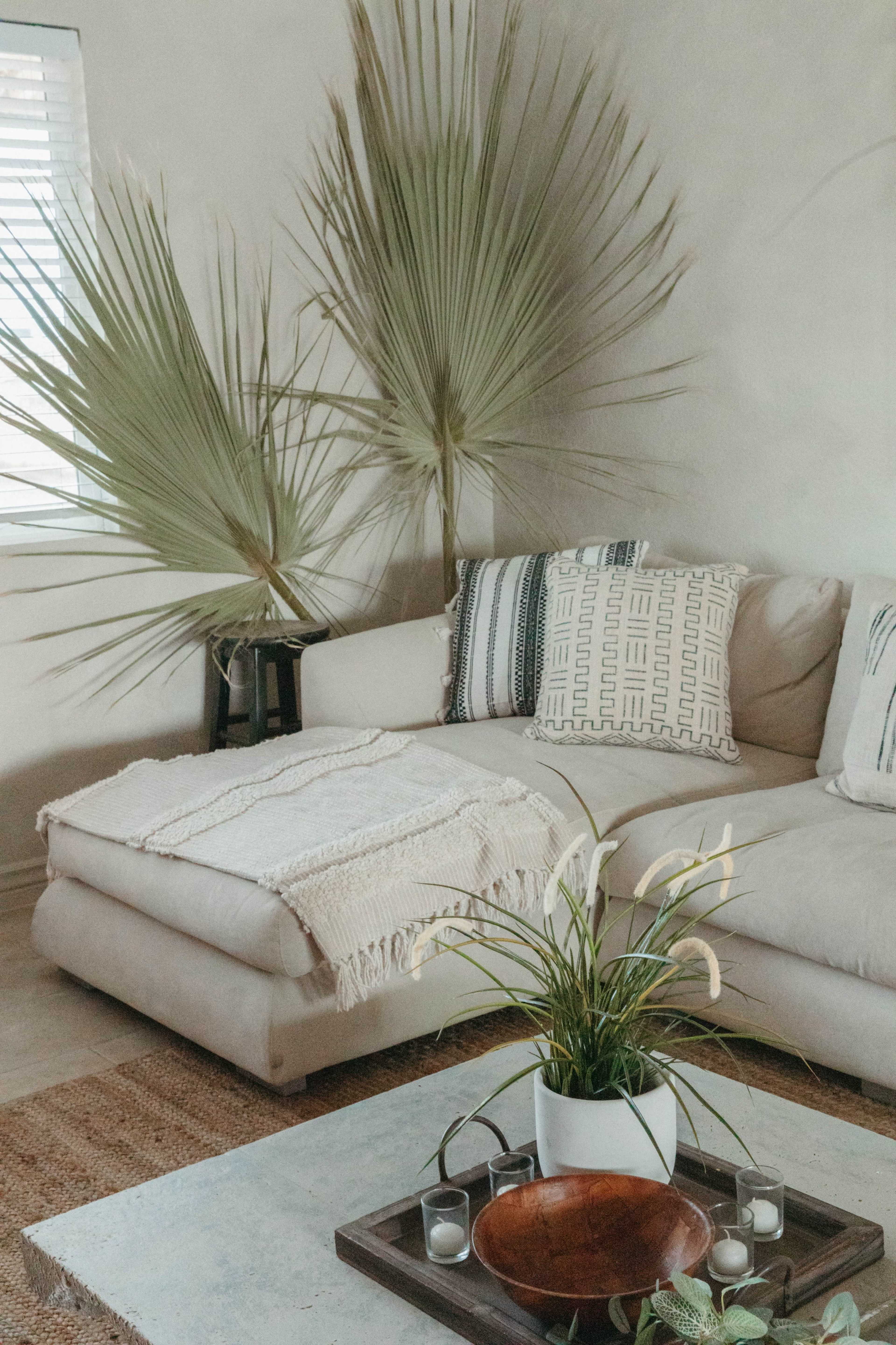 A light-colored living room features a sectional sofa with decorative pillows, a woven throw, and a coffee table with a wooden bowl and potted plants, accompanied by tall palm leaves in the background.