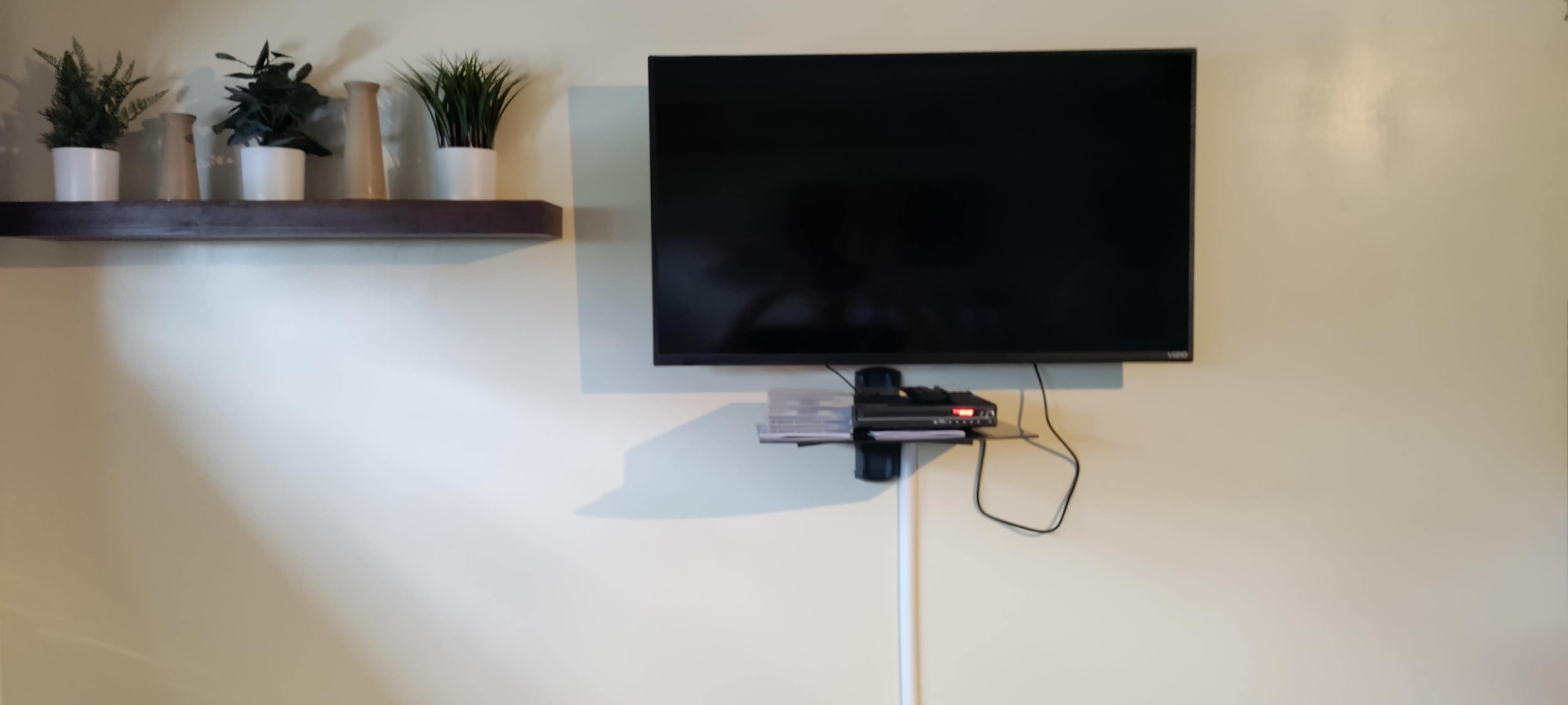 A wall-mounted television above a shelf with potted plants, along with a device secured beneath the TV.
