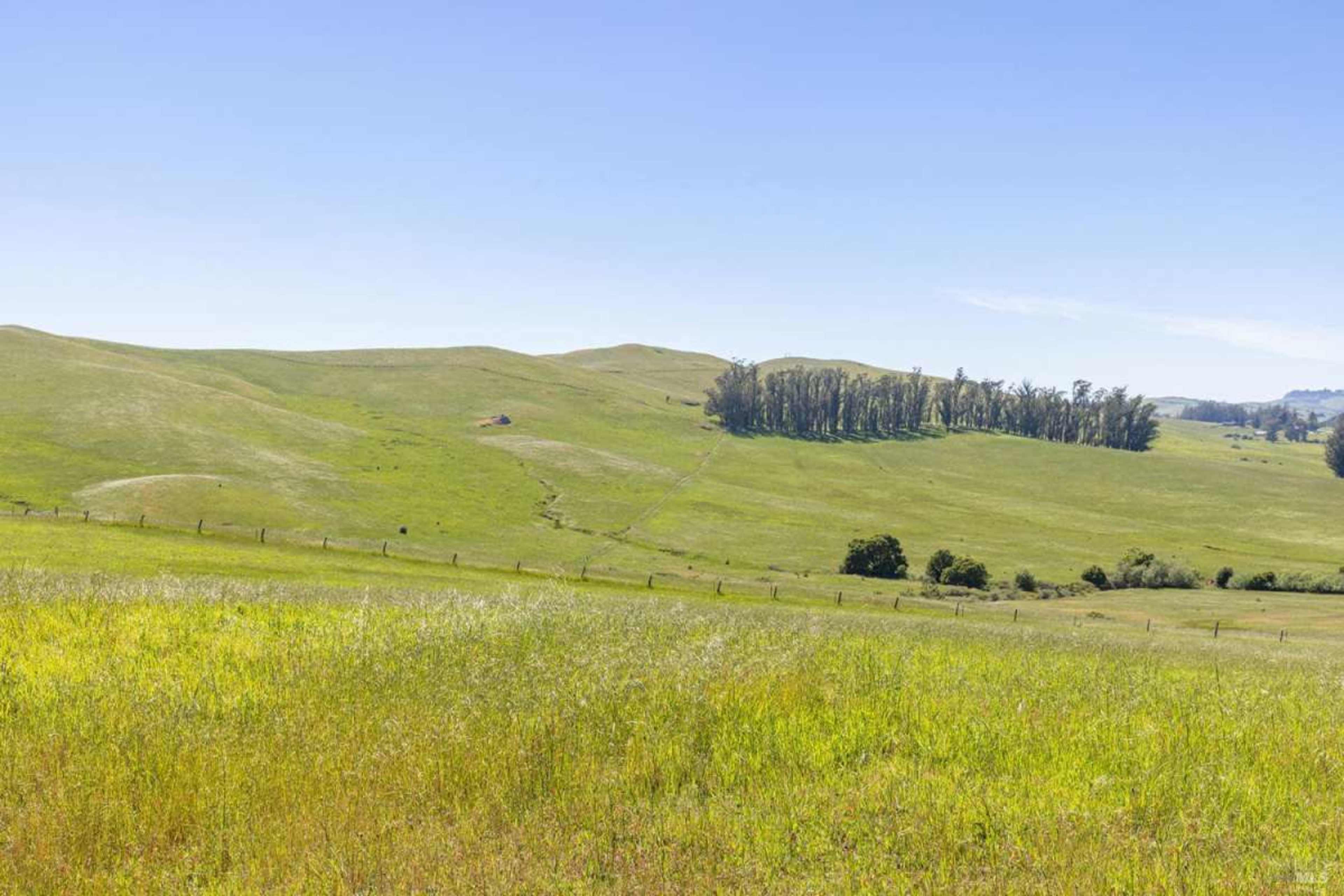 Sonoma County Valley View Wedding Hill Image in , Petaluma, CA