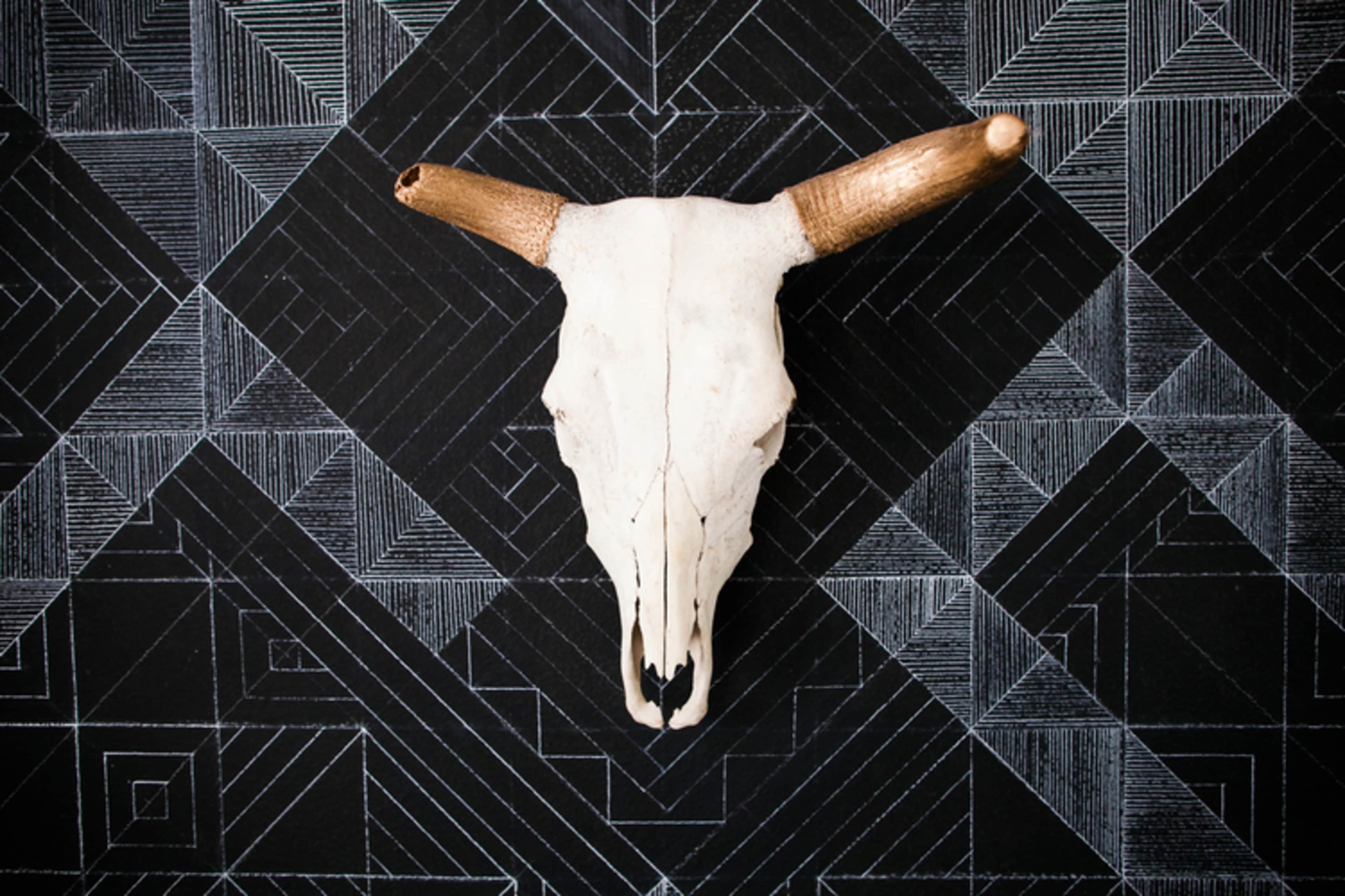 A bull skull mounted against a geometric black and white patterned background.