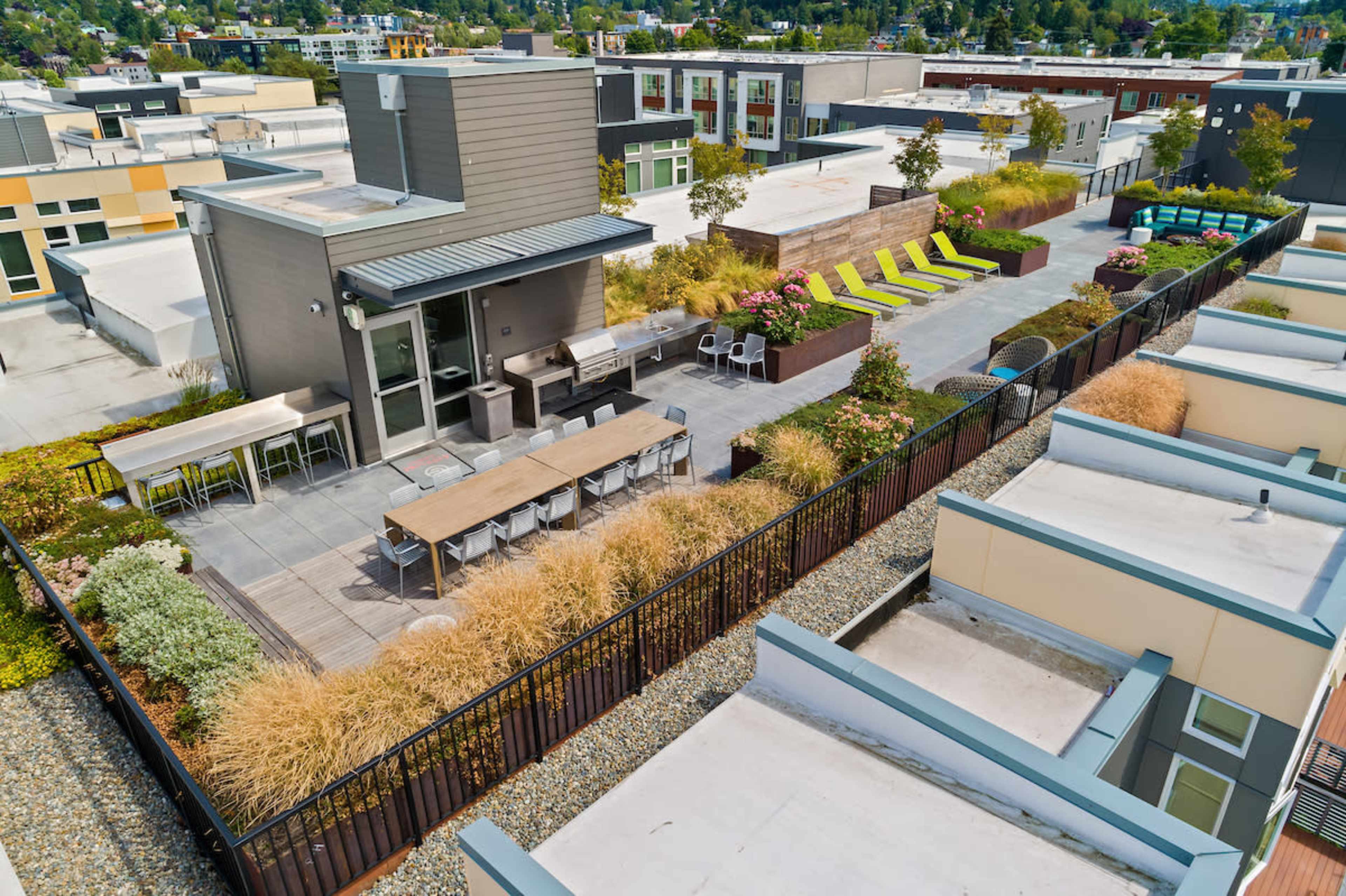 The image shows a rooftop terrace featuring seating areas, lounge chairs, and landscaping with various plants and flowers.