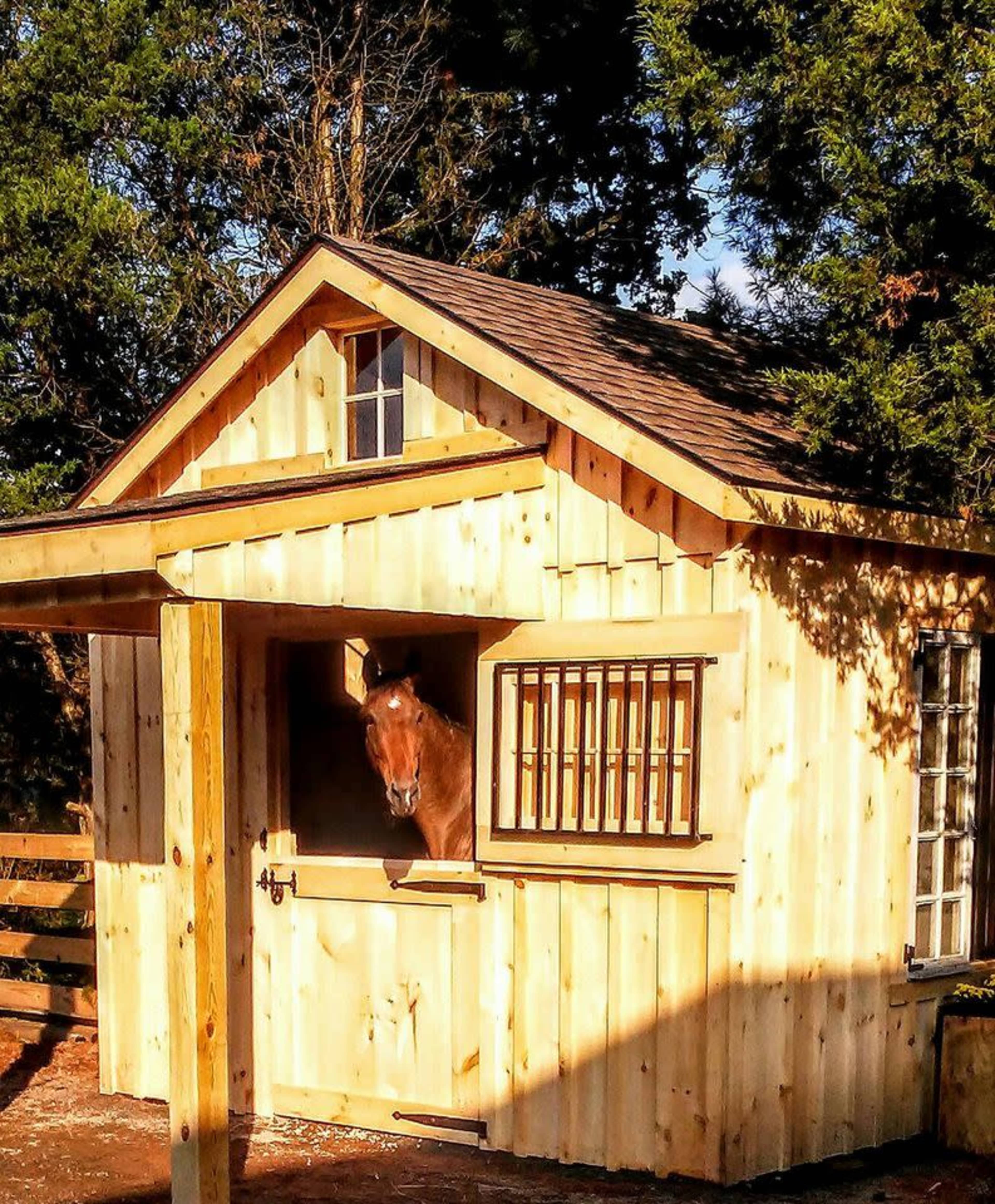 A horse stands in the doorway of a wooden stable with a sloped roof.