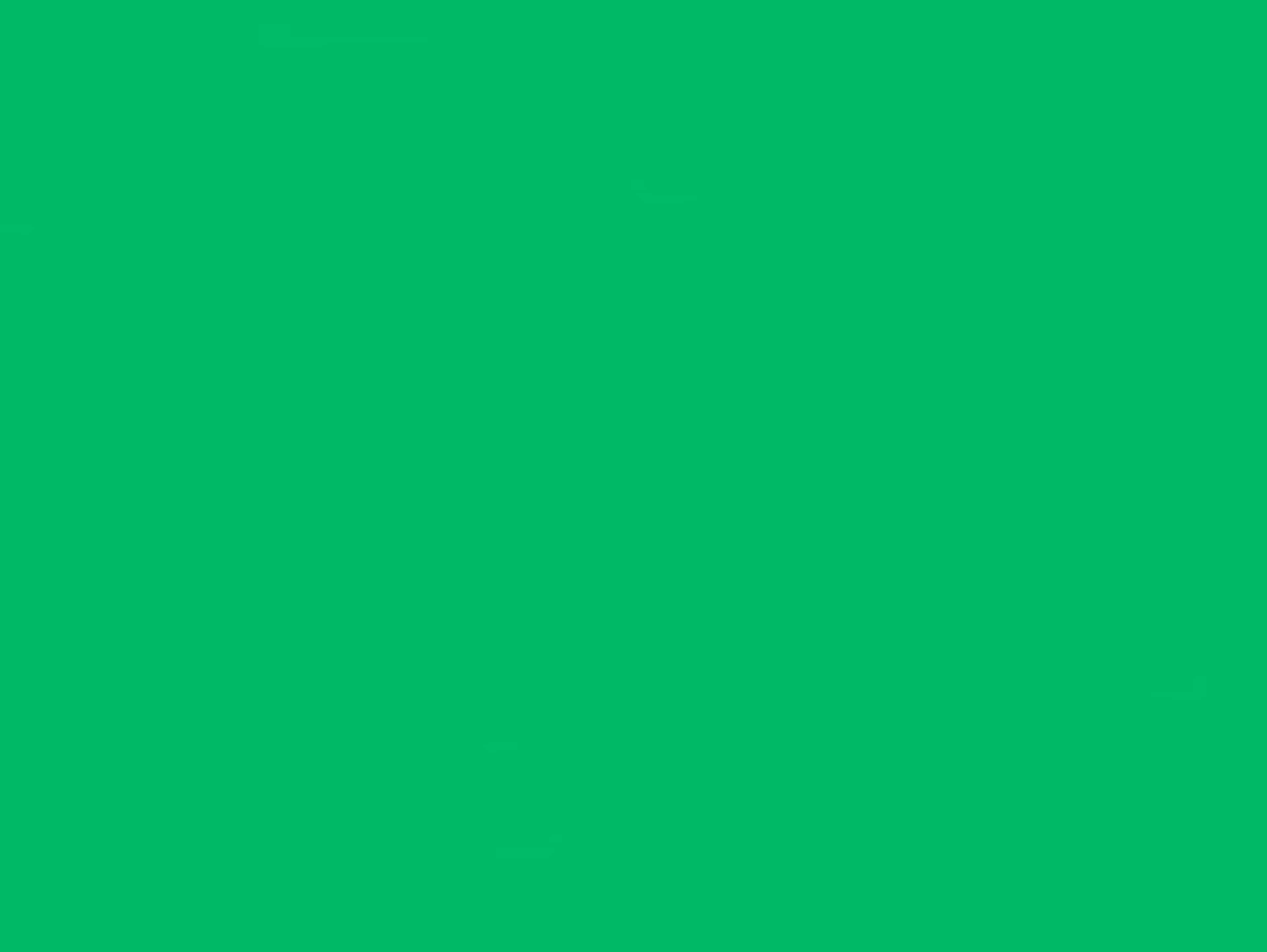 GIANT GREEN SCREEN 40X13
