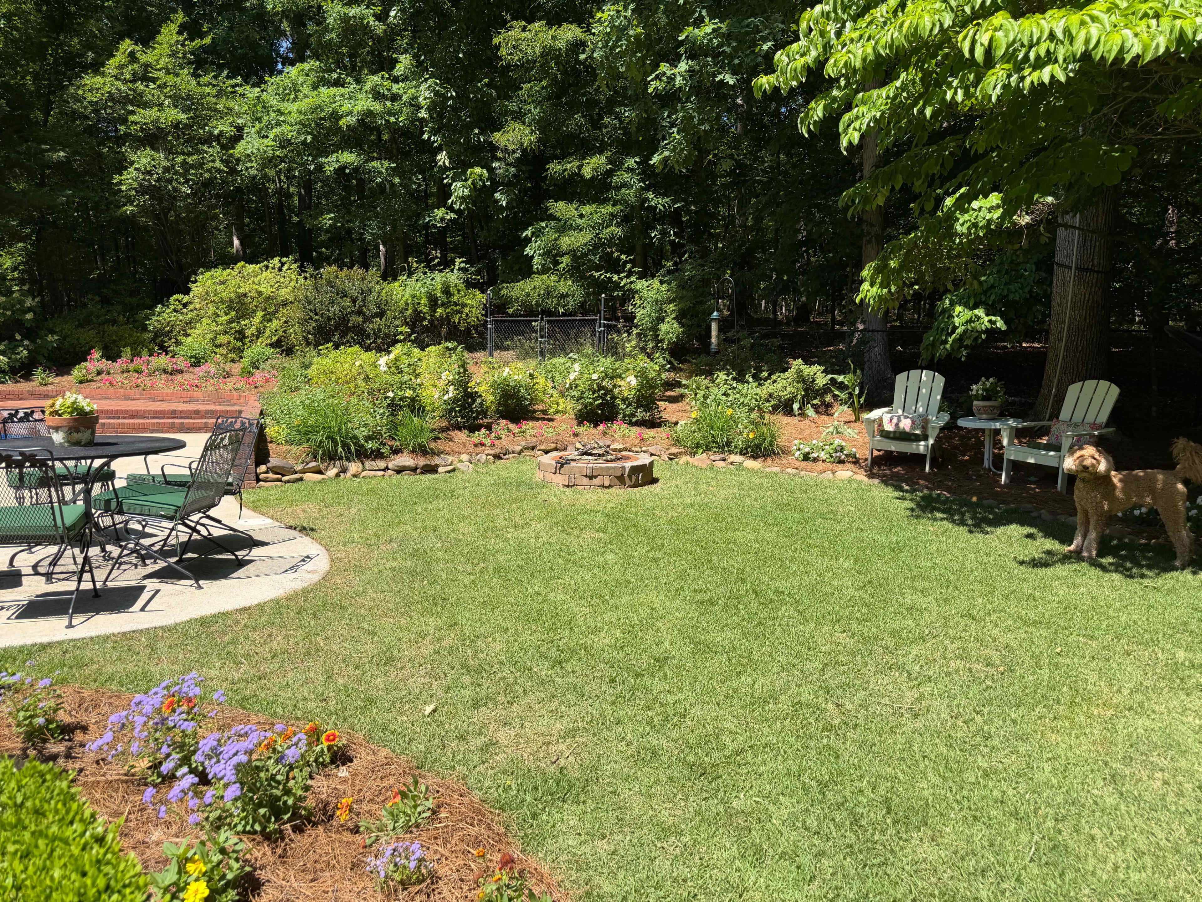 The image shows a landscaped backyard with a circular seating area, a fire pit, blooming flower beds, and a few Adirondack chairs under the shade of trees.