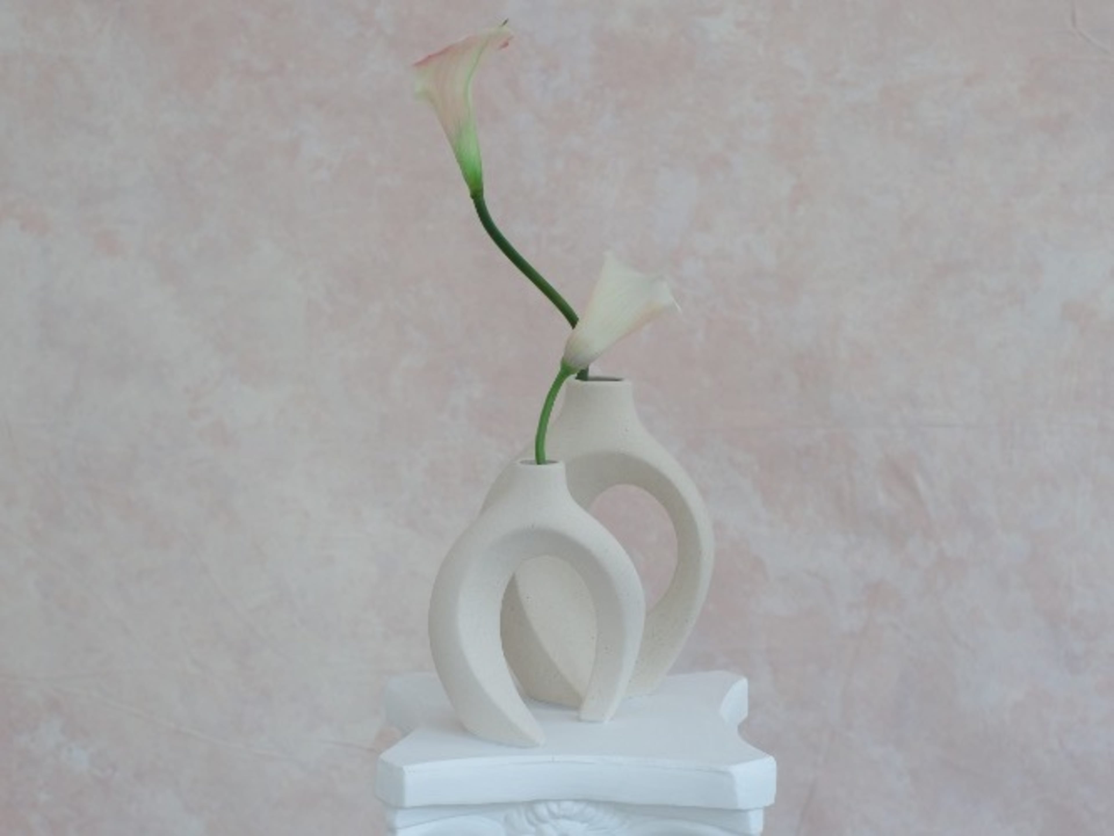 "Morning Rose'" Canvas Collection Backdrop