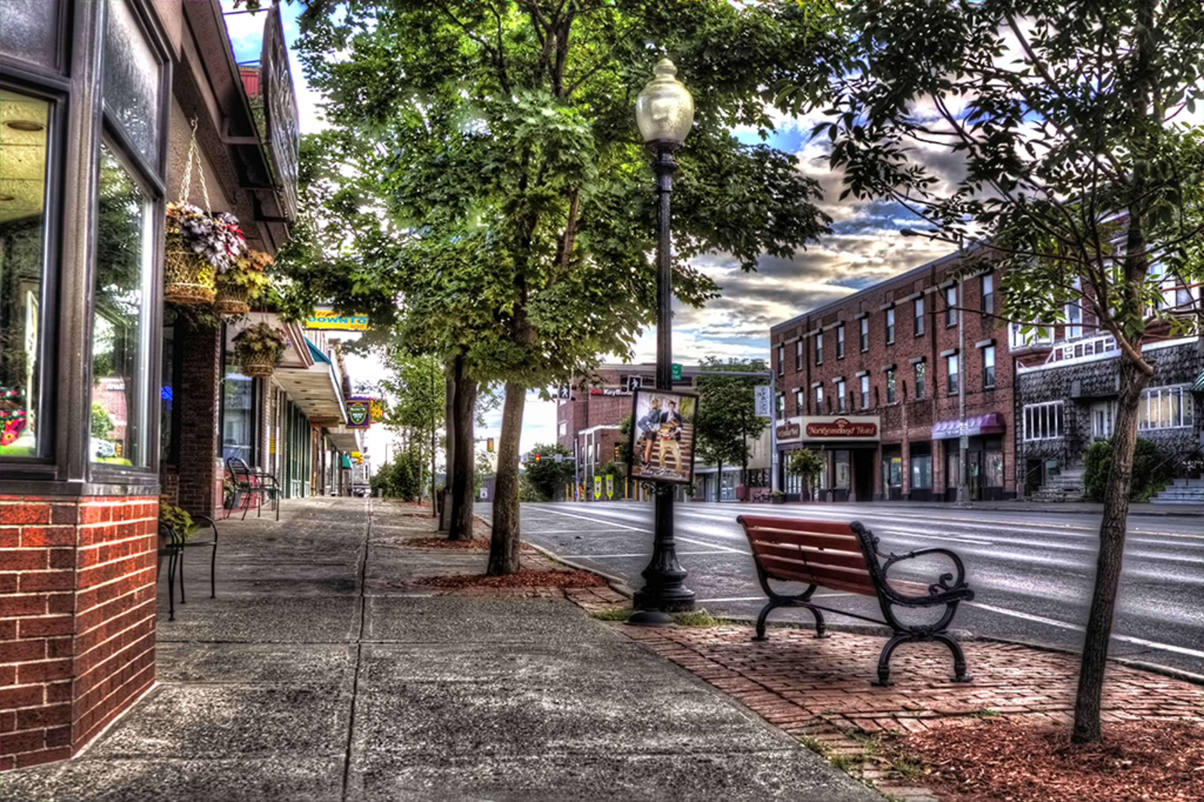 The image shows a quiet street scene featuring a sidewalk lined with trees, a bench, and buildings in the background.
