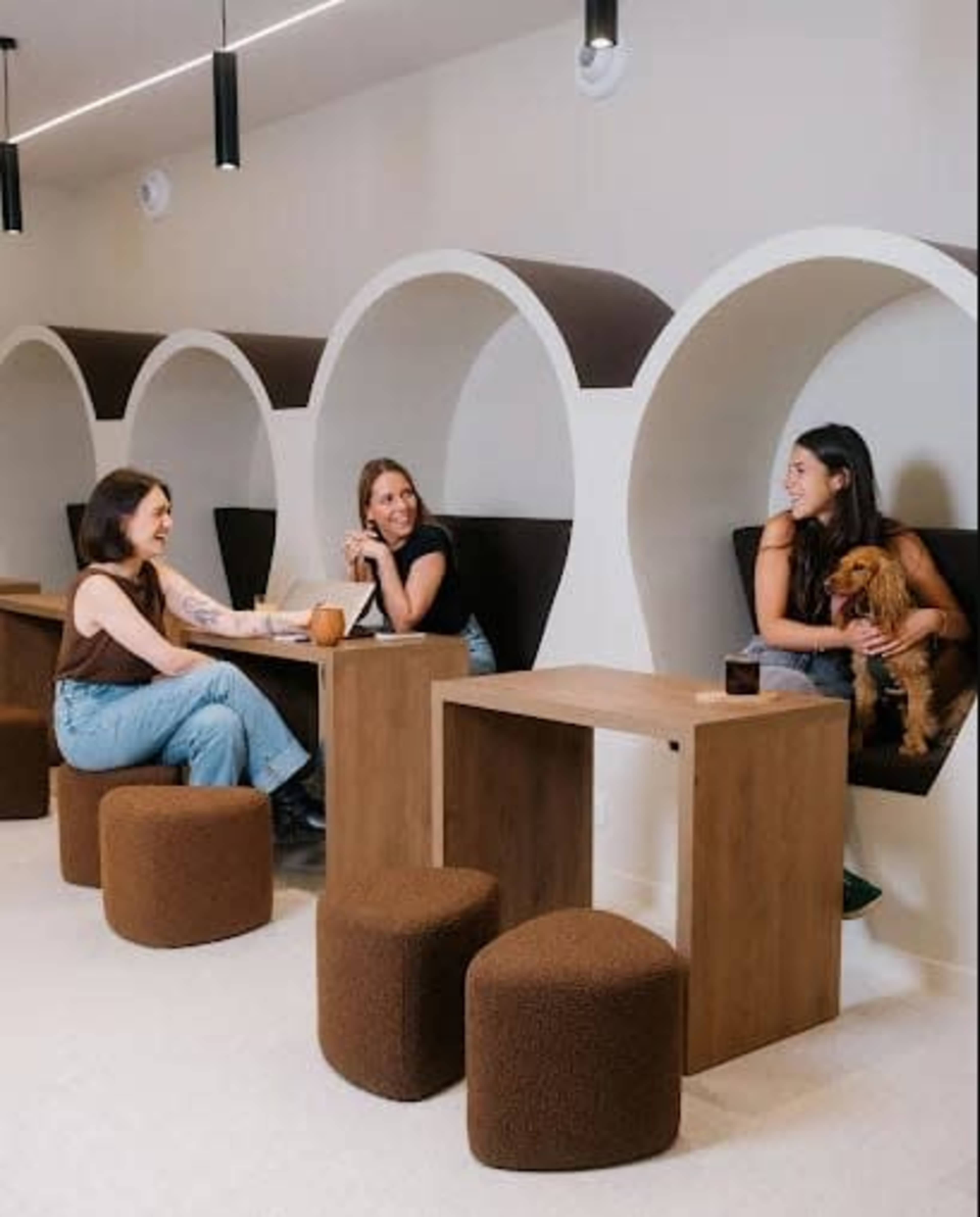 Three women are sitting in a modern café with curved wooden booths, engaged in conversation while one of them holds a small dog.