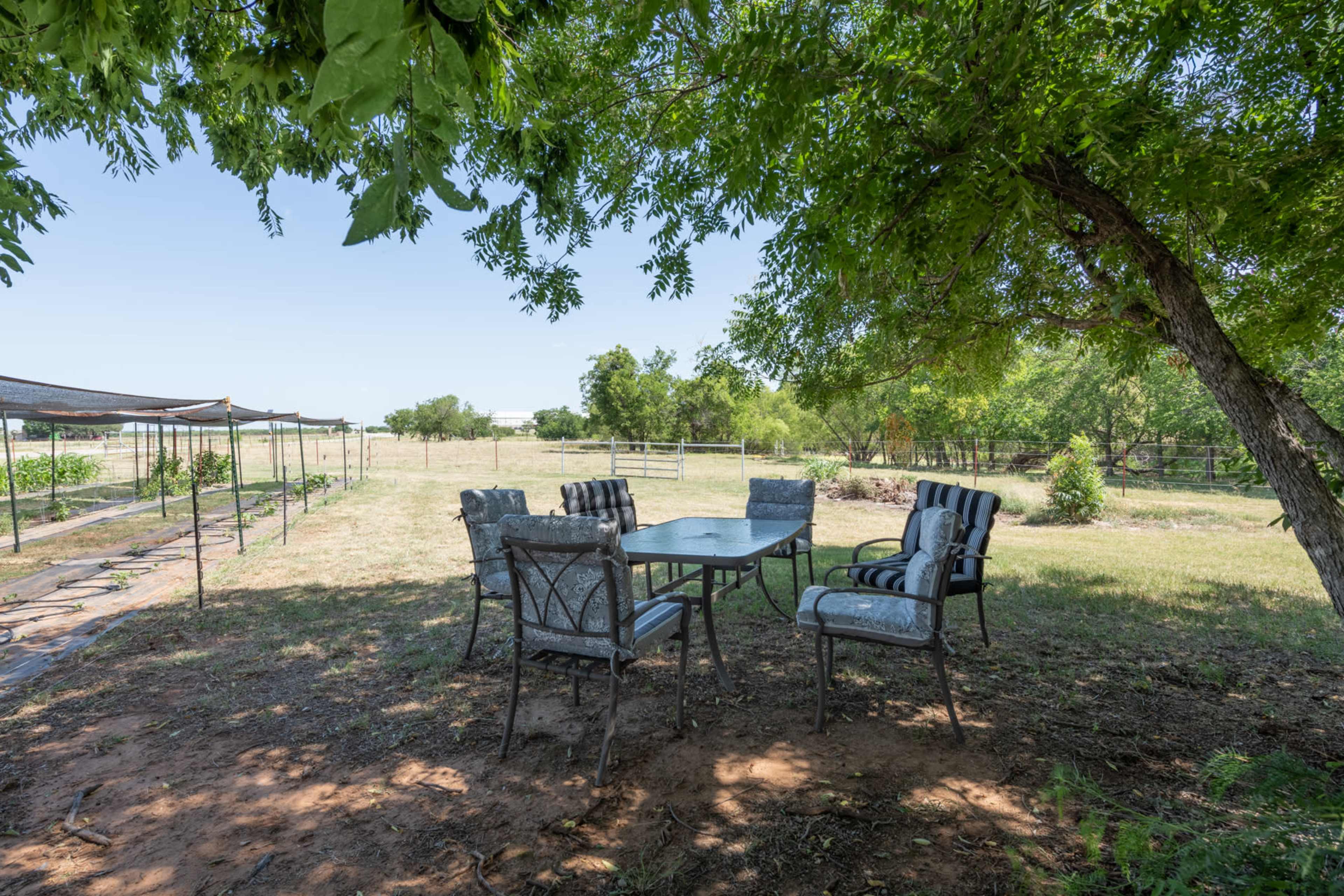 A dining table with chairs is placed under a large tree in a grassy outdoor area.