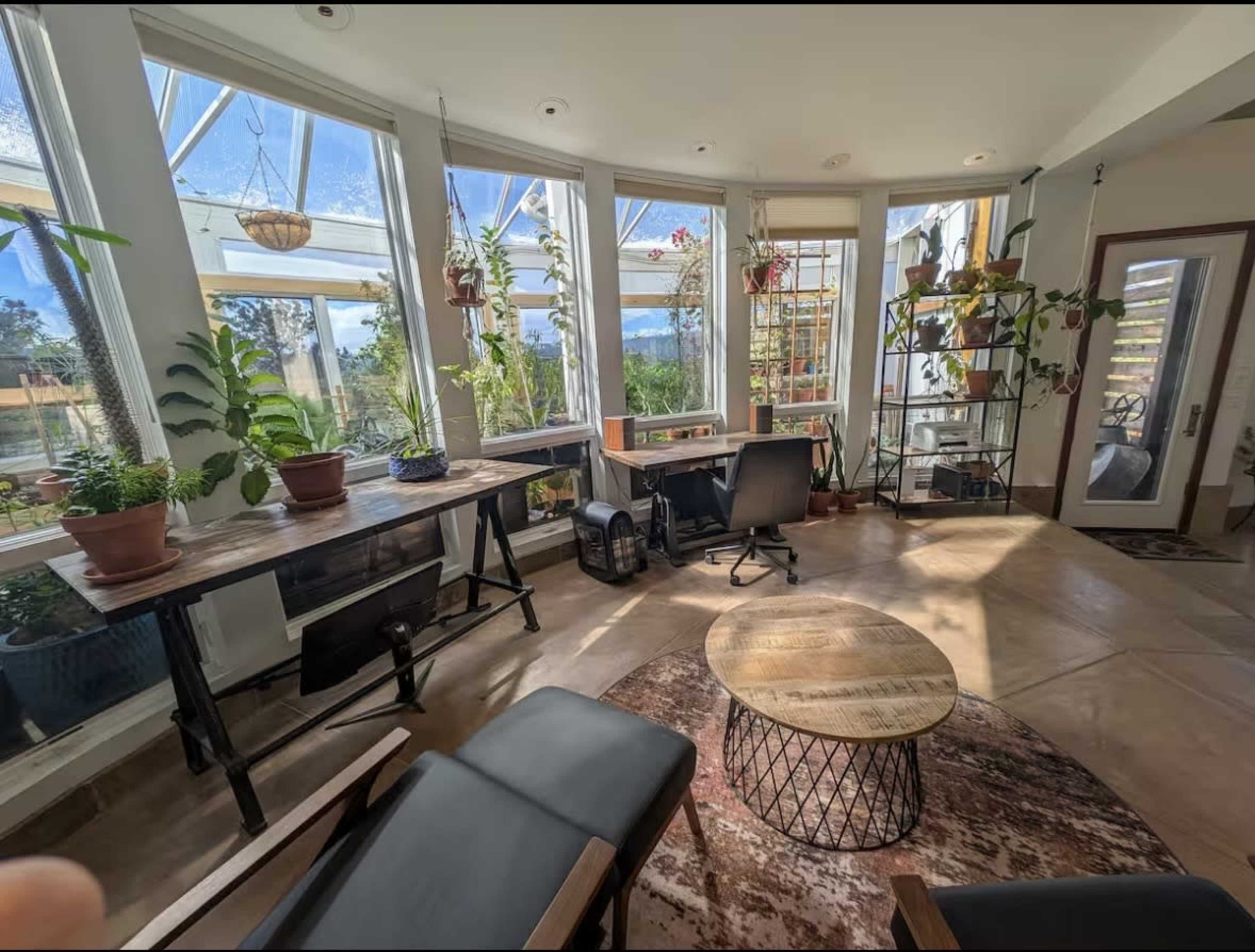 The image shows a bright, sunlit indoor space filled with various plants, a wooden desk, a chair, and a round coffee table on a patterned rug.