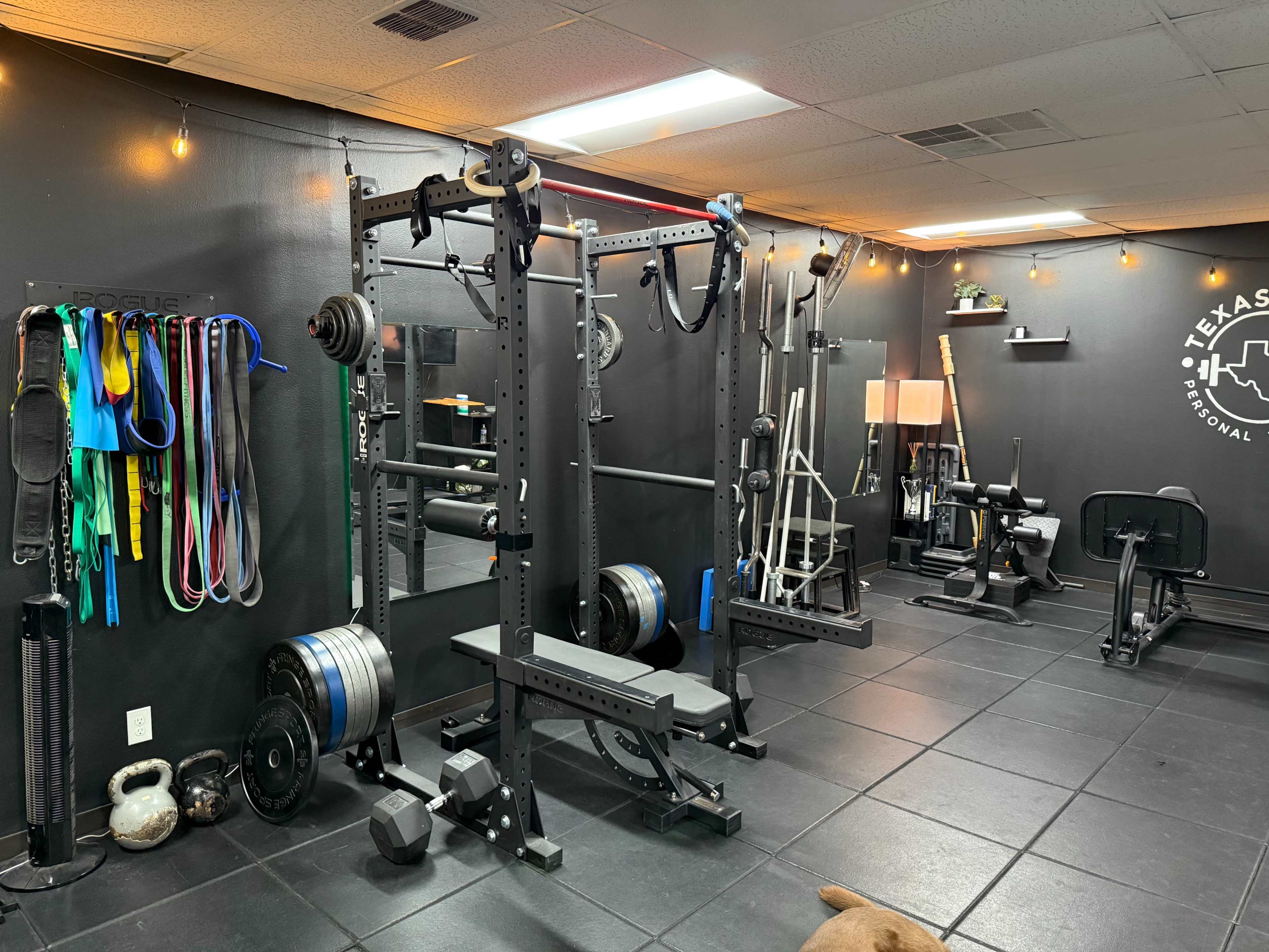 Private Gym Studio - Premium Equipment Image in North Loop, Austin, TX