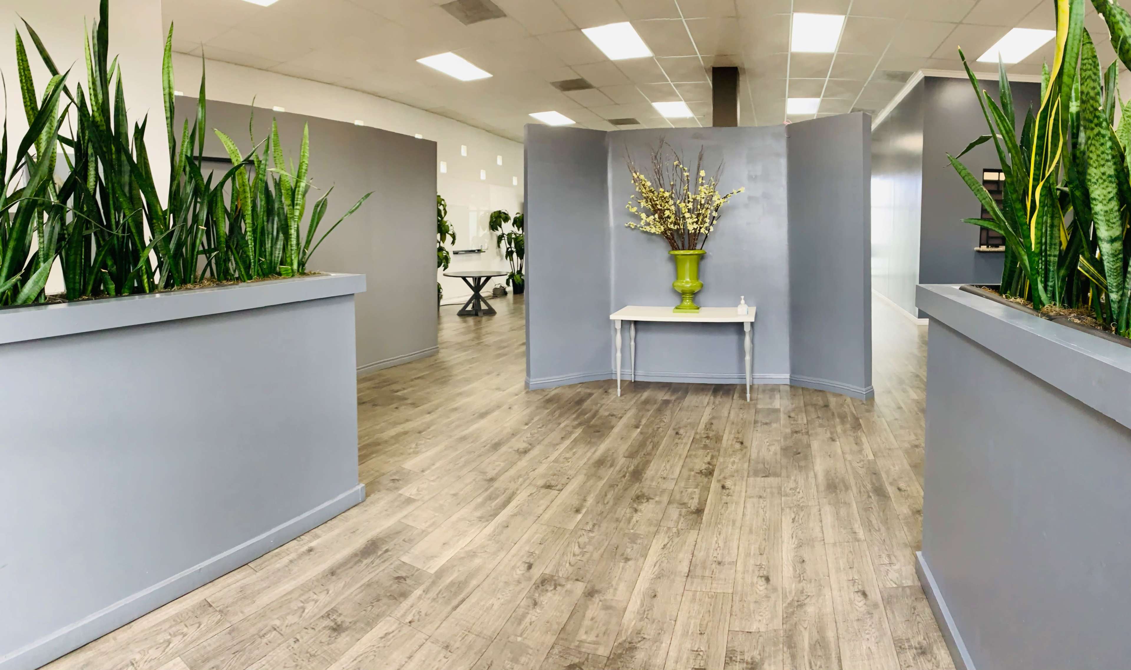 A spacious interior with gray walls, wooden flooring, and tall plants in planter boxes, leading to a white table with a decorative vase.