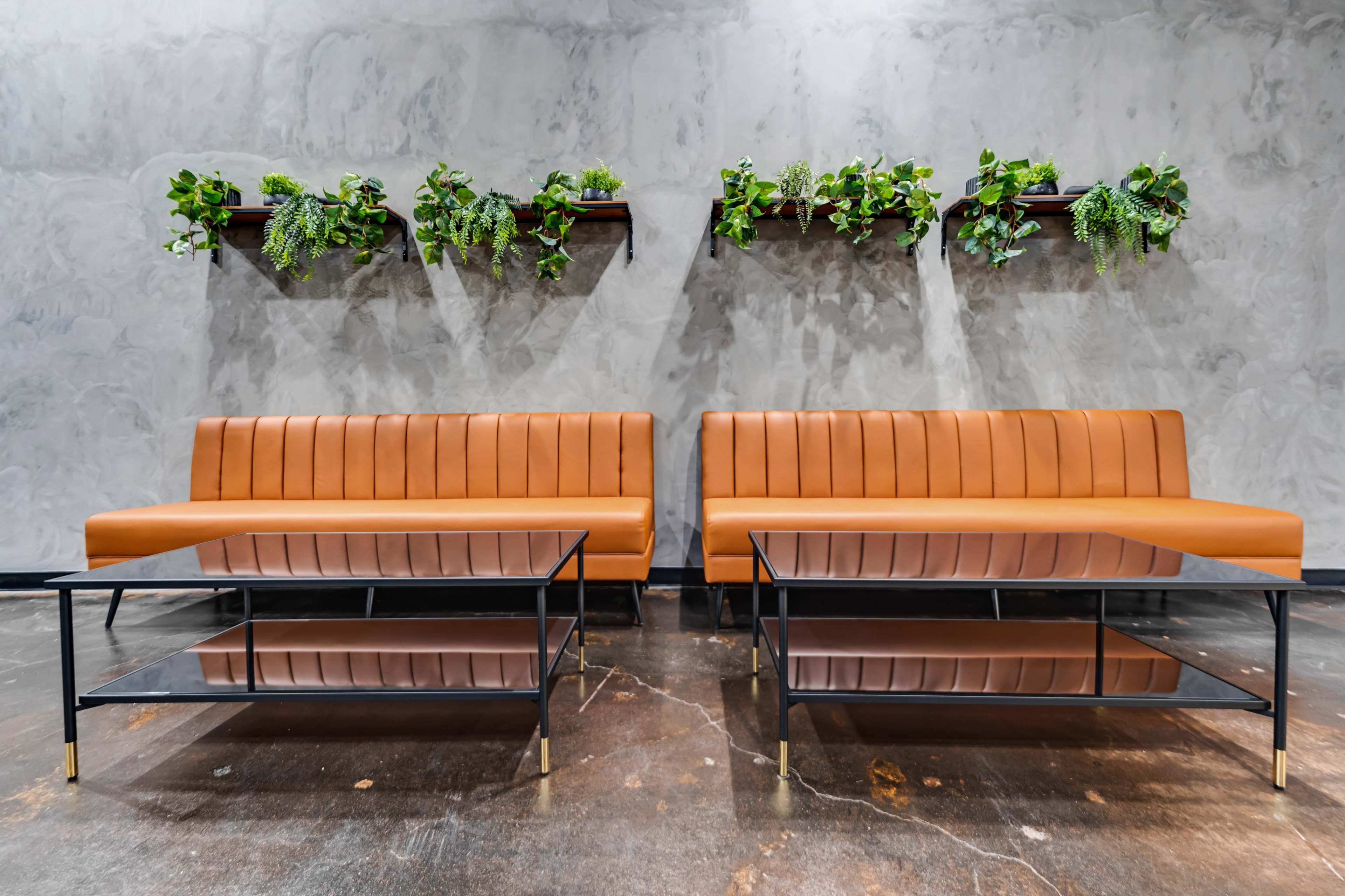 The image features two brown leather sofas paired with glass-top coffee tables against a textured gray wall adorned with green plants on shelves.