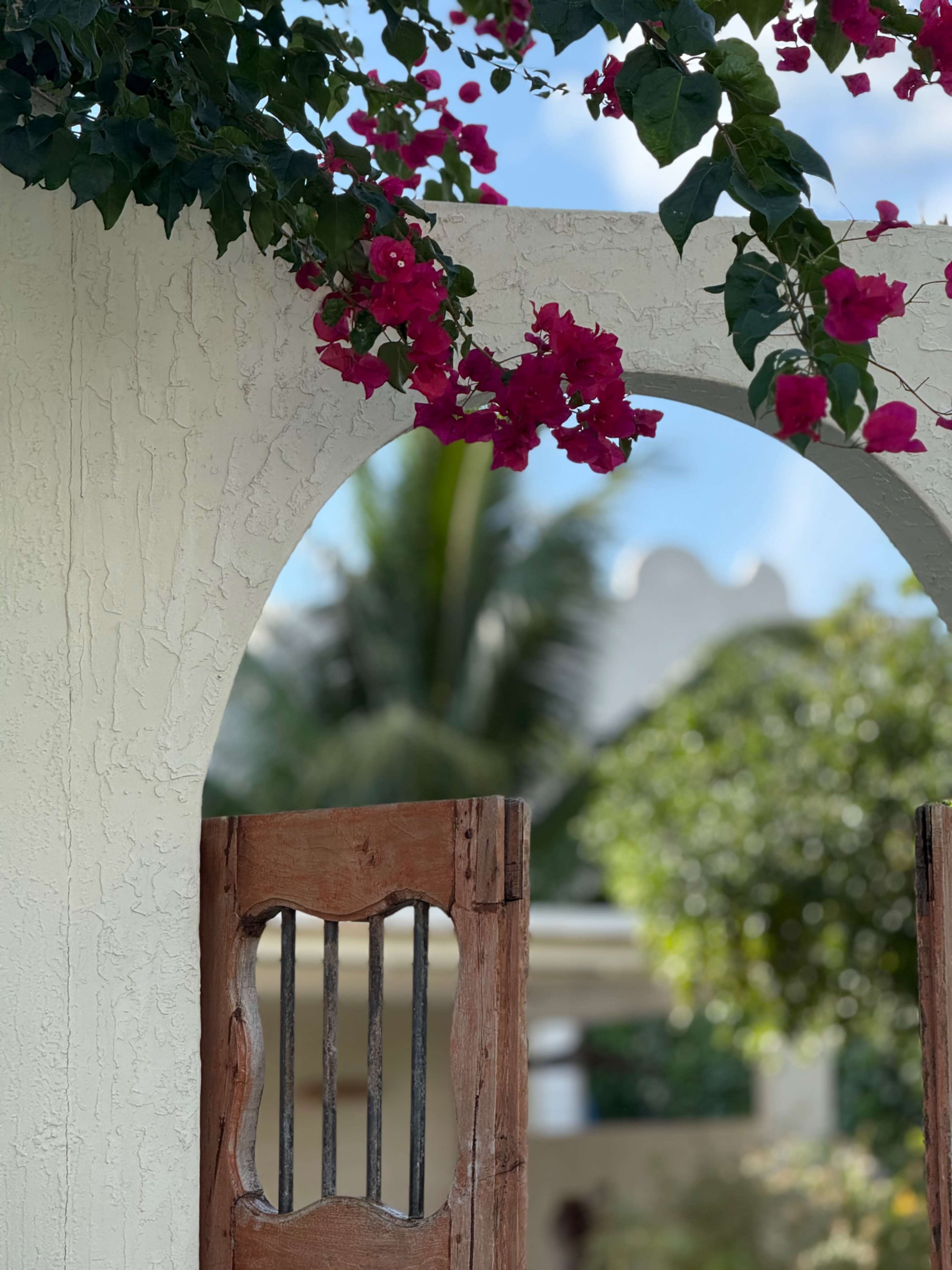 Casa Lakol - Lush Mediterranean Garden & Pool (Outdoors only) Image in Croissant Park, Fort Lauderdale, FL