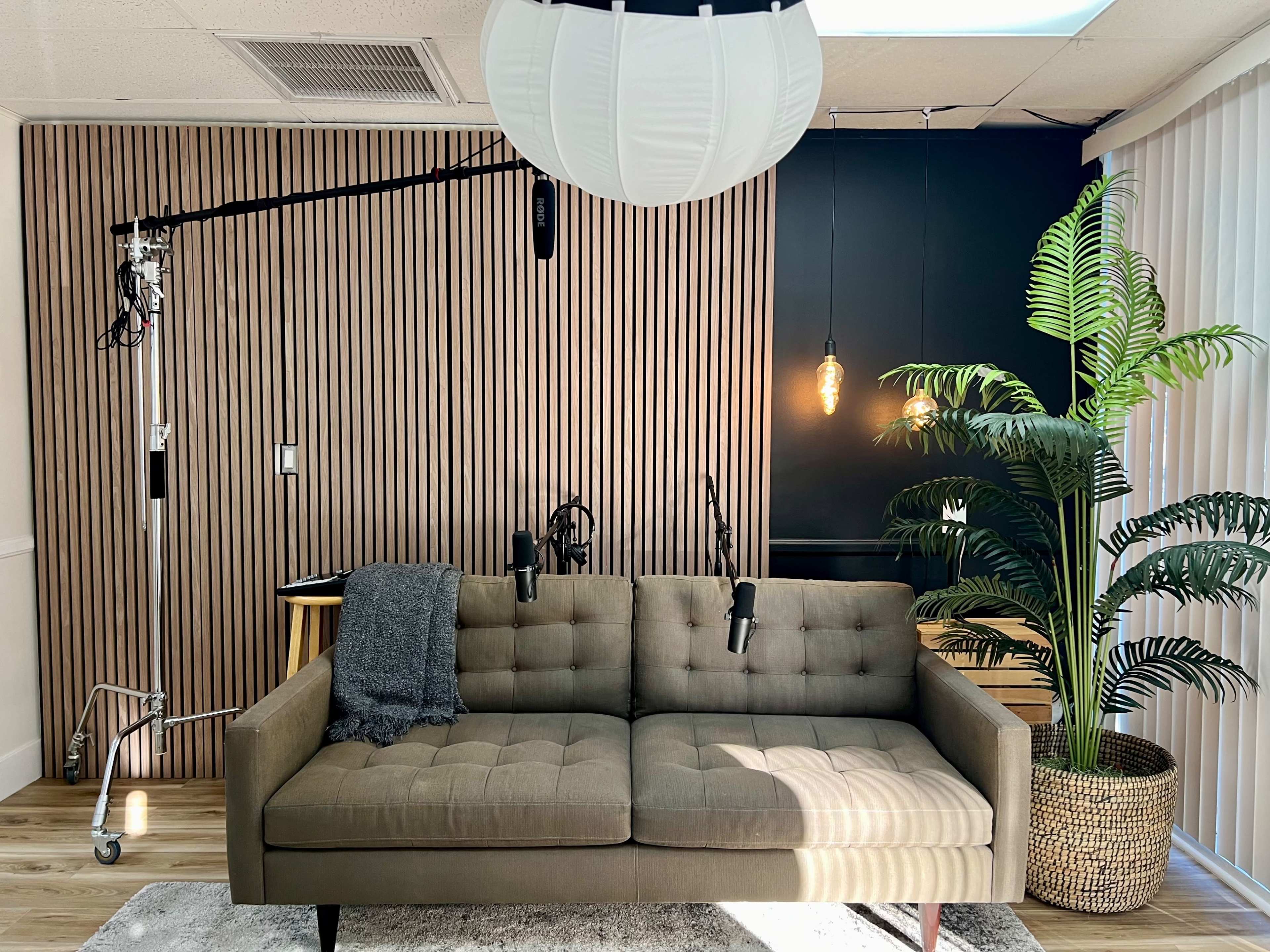 A modern living space featuring a brown sofa with microphones on a stand, a tall indoor plant, and a wooden accent wall.