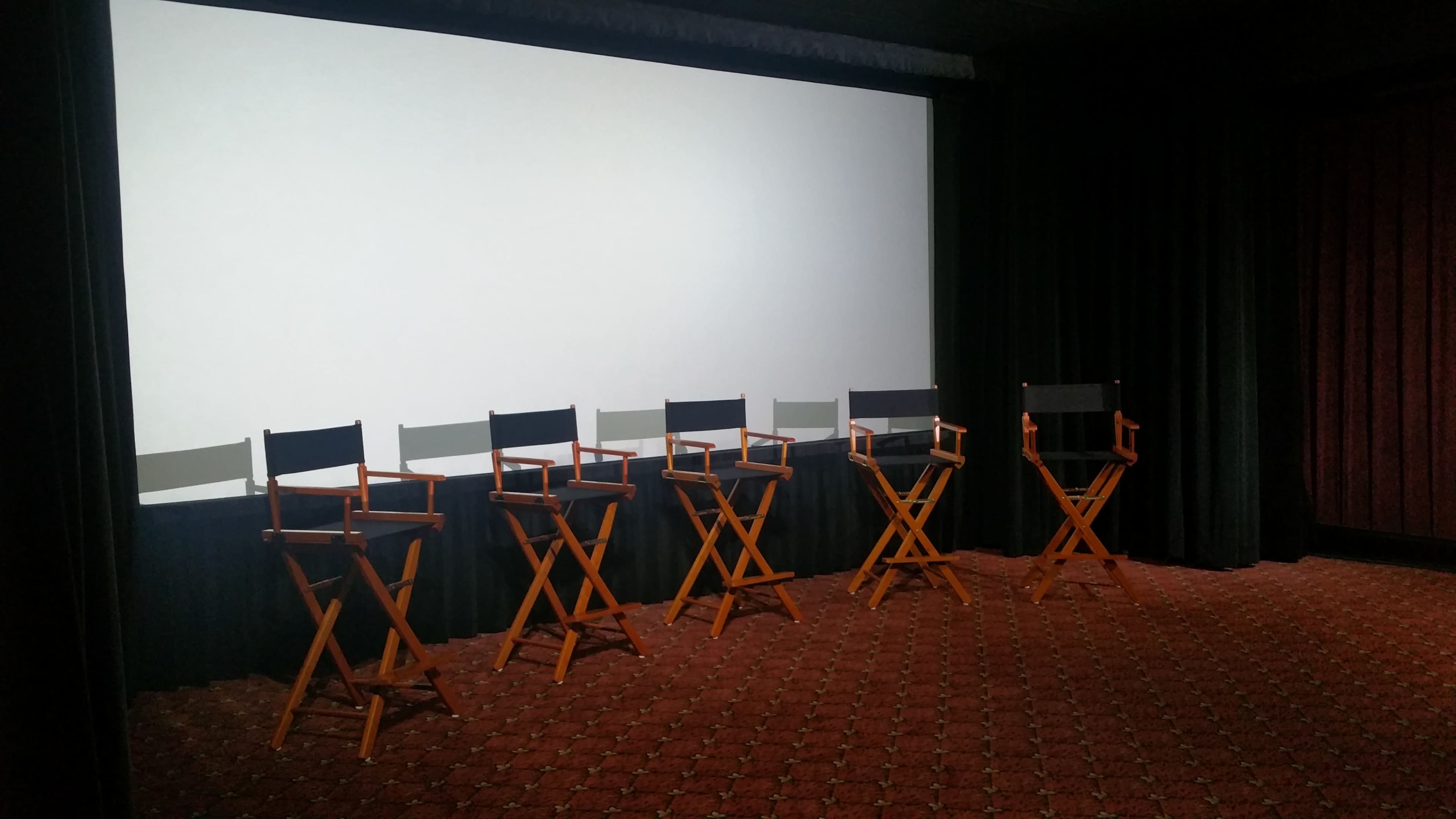 The image shows a row of empty director's chairs positioned in front of a blank projection screen in a darkened theater.