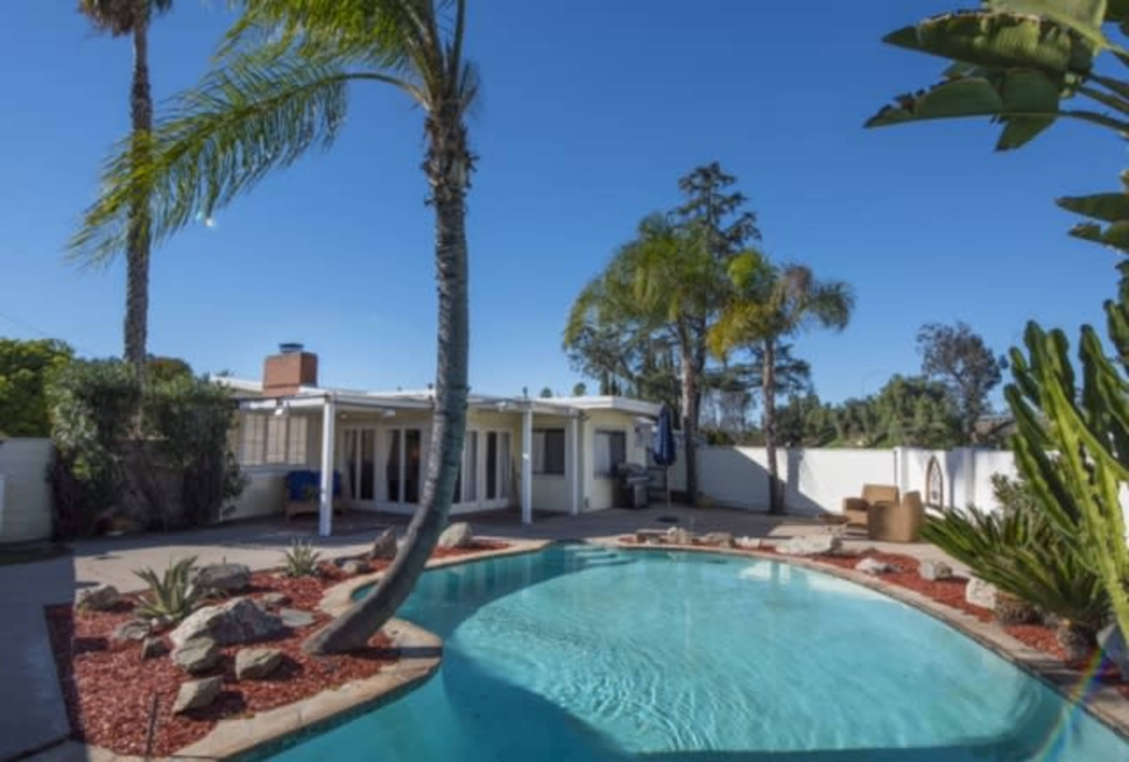 A backyard with a swimming pool surrounded by palm trees, a concrete patio, and landscaped rocks.