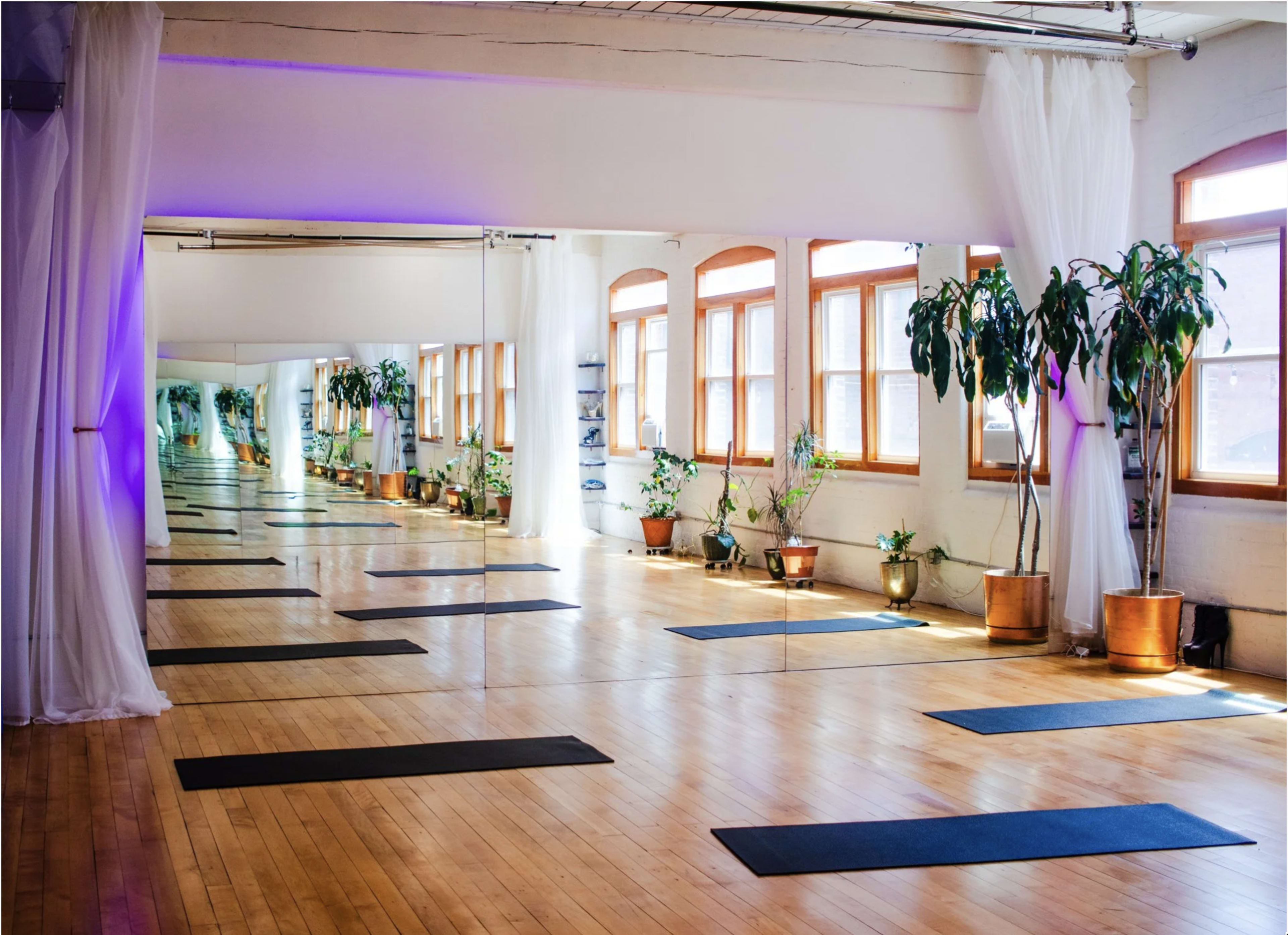 The image shows a bright yoga studio with wooden floors, large windows, and several potted plants arranged alongside yoga mats and mirrors.