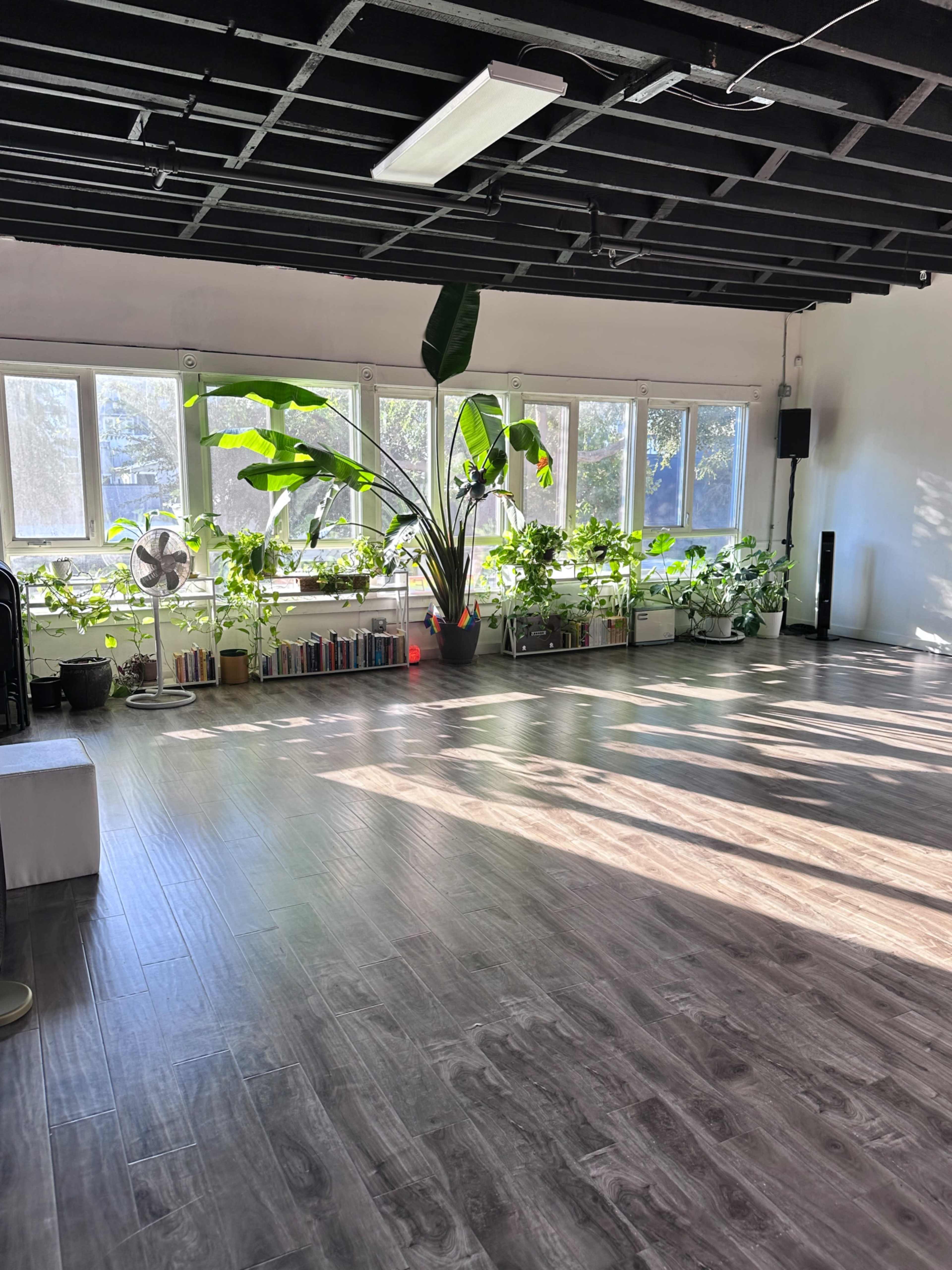 The image shows a bright, spacious room with large windows, plants along the sill, and a wooden floor.