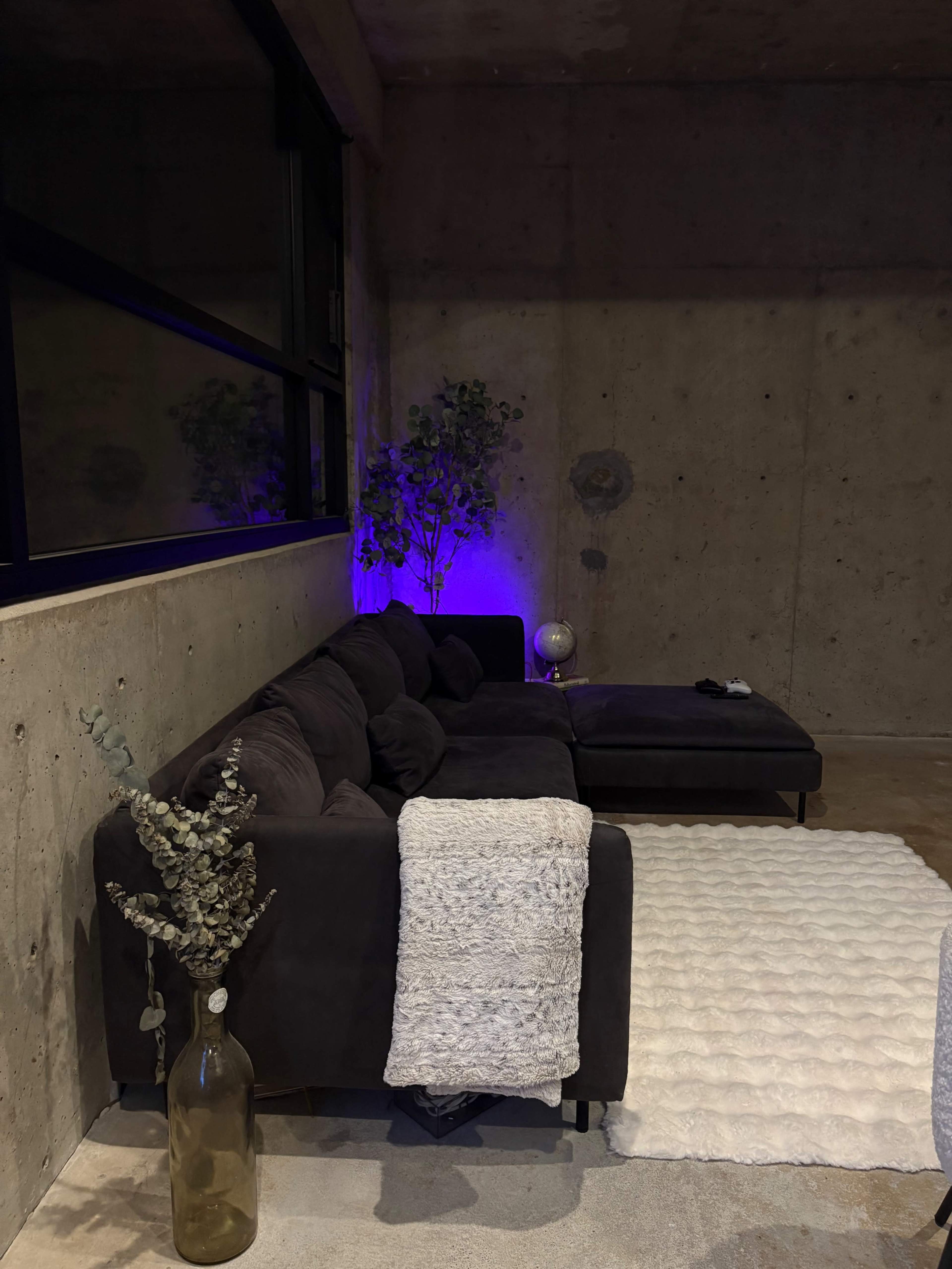 A black sectional couch is placed against a concrete wall with a light purple glow, accompanied by a decorative plant, a textured throw blanket, and a glass vase on the floor.