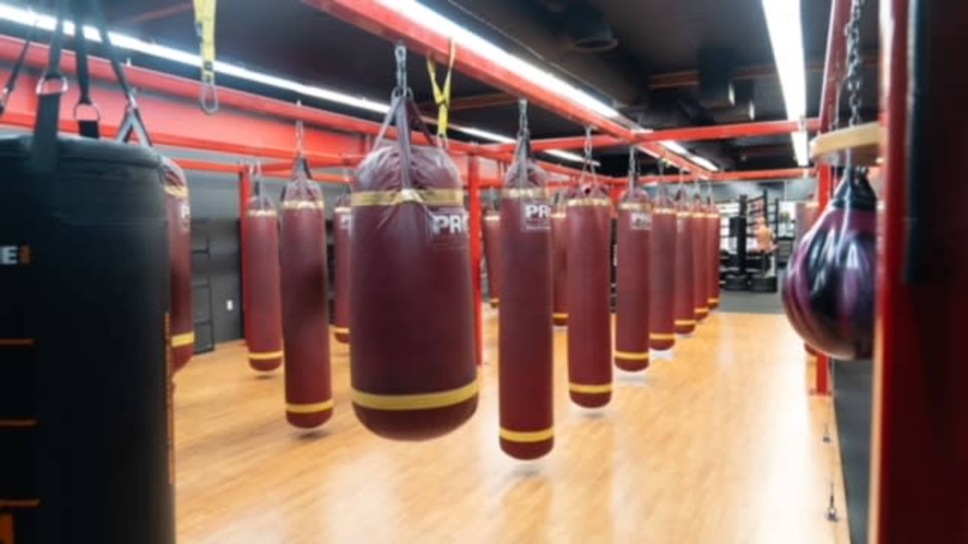 A gym interior with several hanging boxing bags arranged in a row.