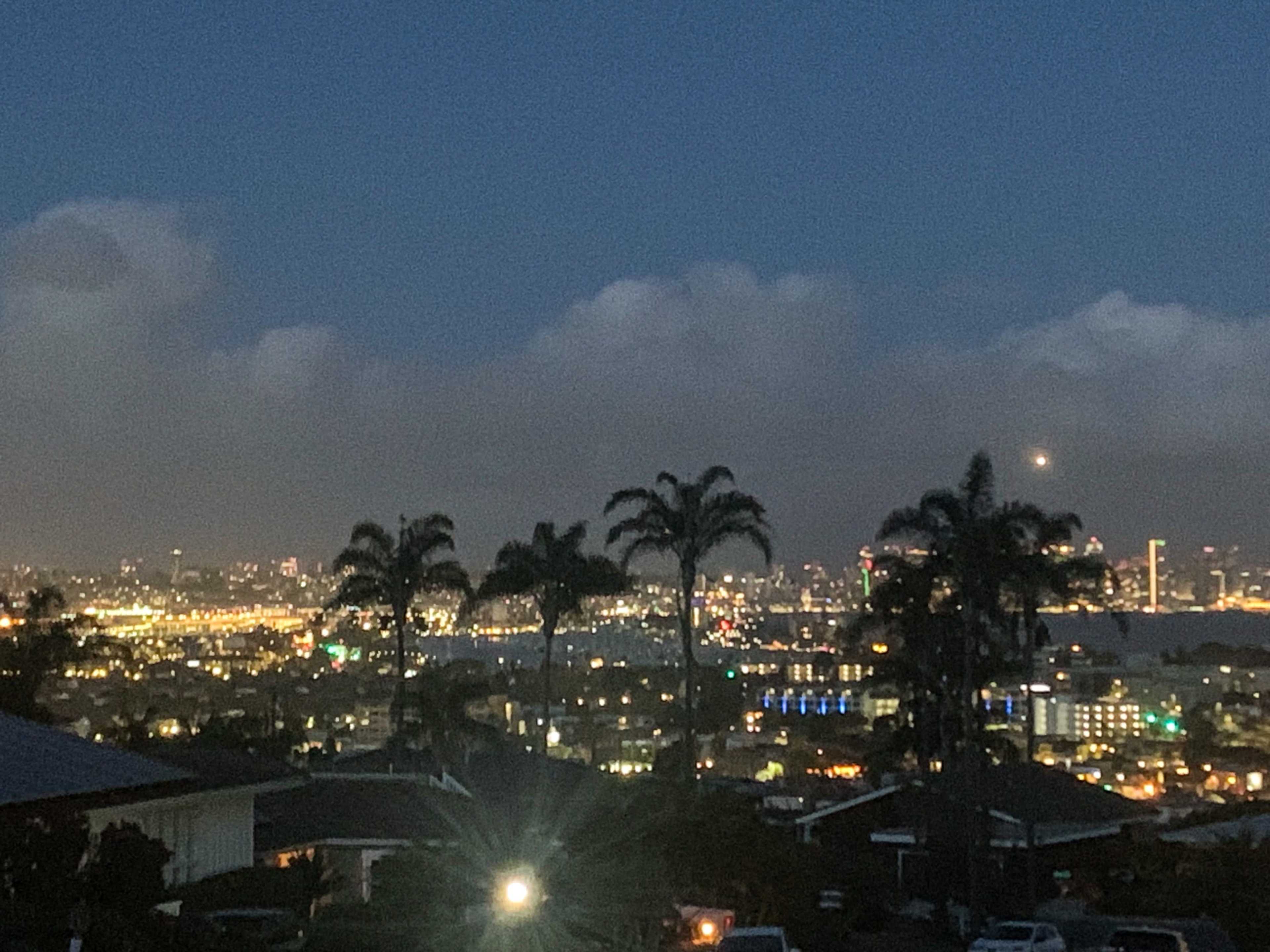 The image shows a city skyline illuminated at night with distant buildings and palm trees in the foreground.