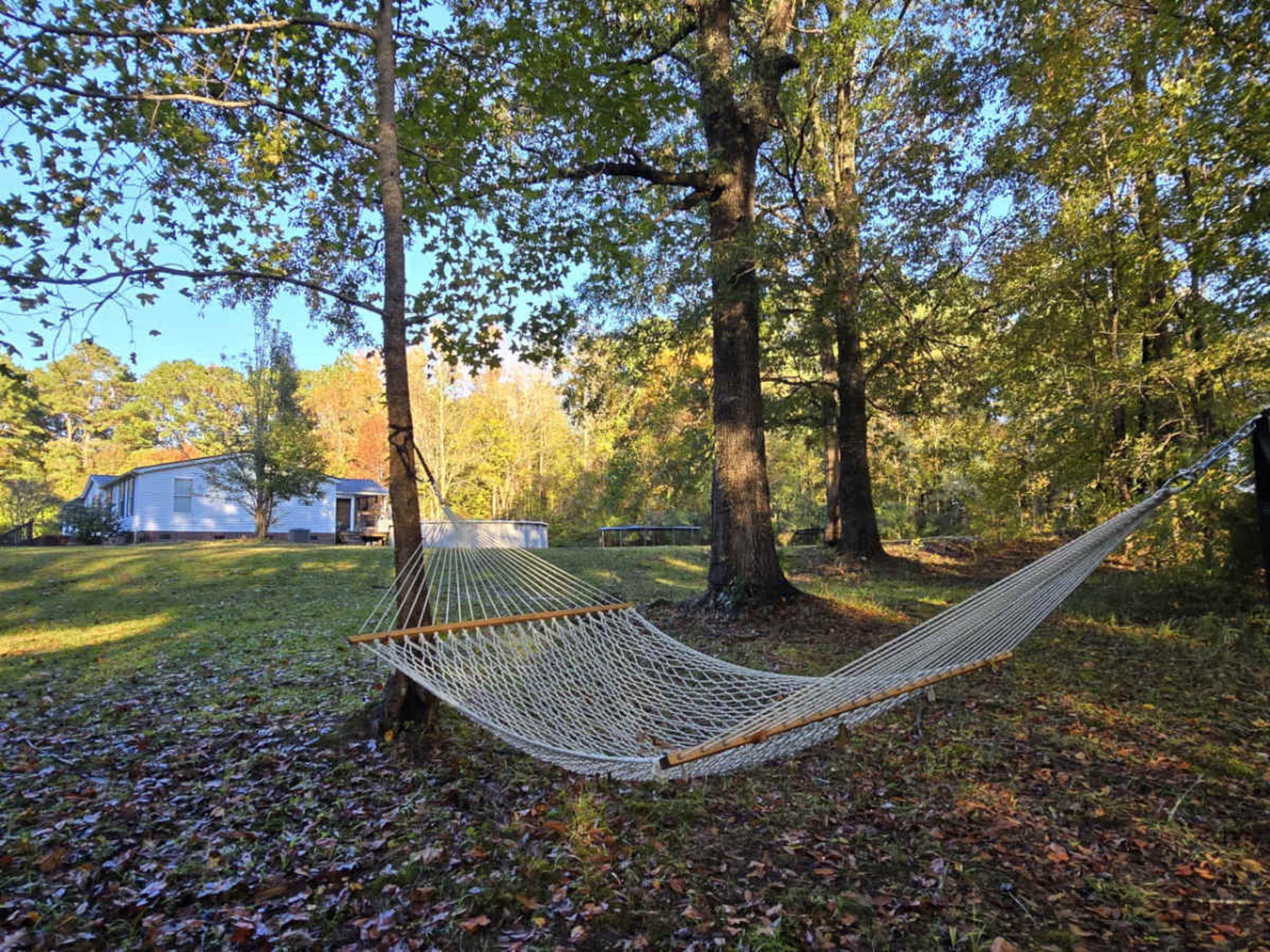 A hammock is strung between two trees in a wooded area, with a house visible in the background.